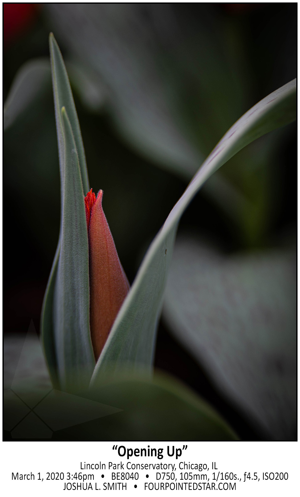 BE8040 200301 154654