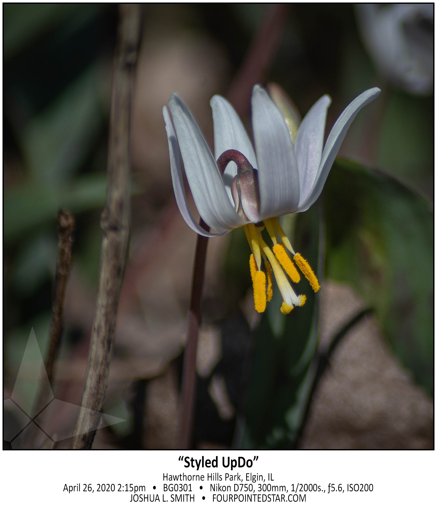 BG0301 200426 141557