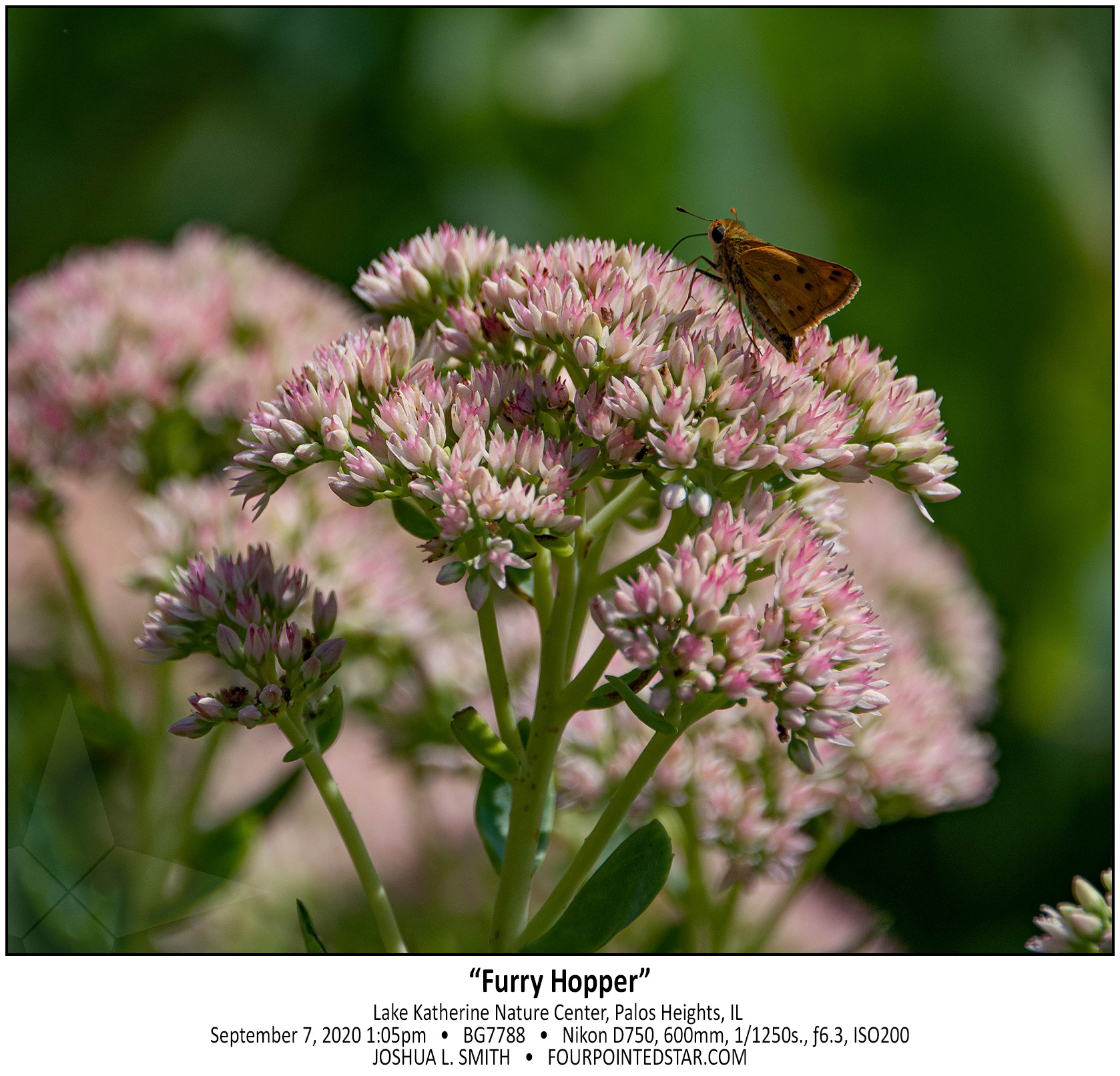 BG7788 200907 130536