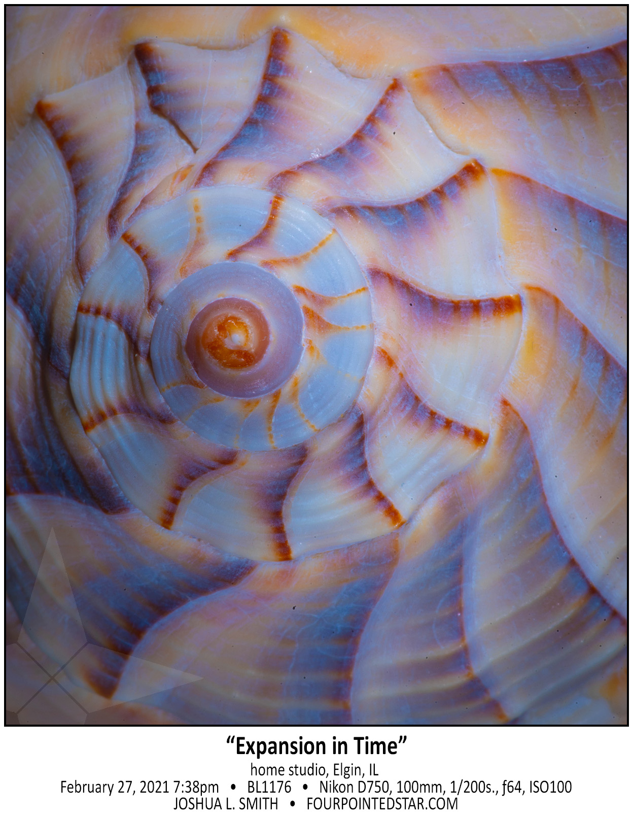 BL1176 210227 193821