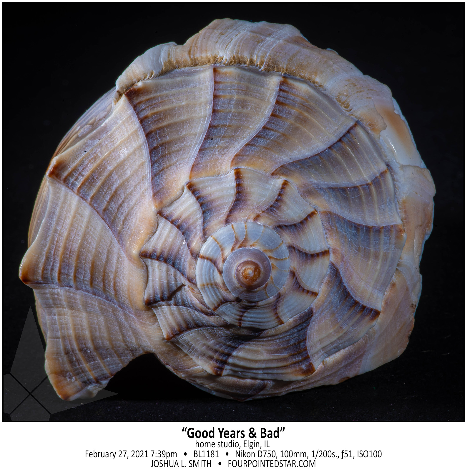 BL1181 210227 193919