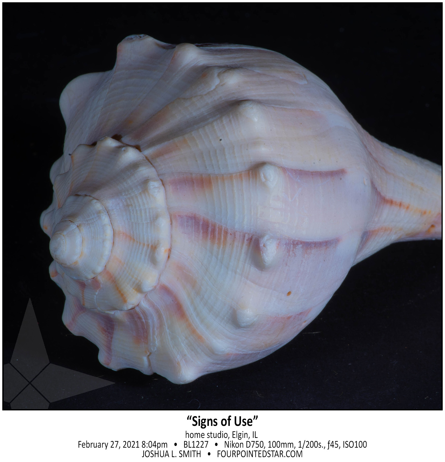 BL1227 210227 200409