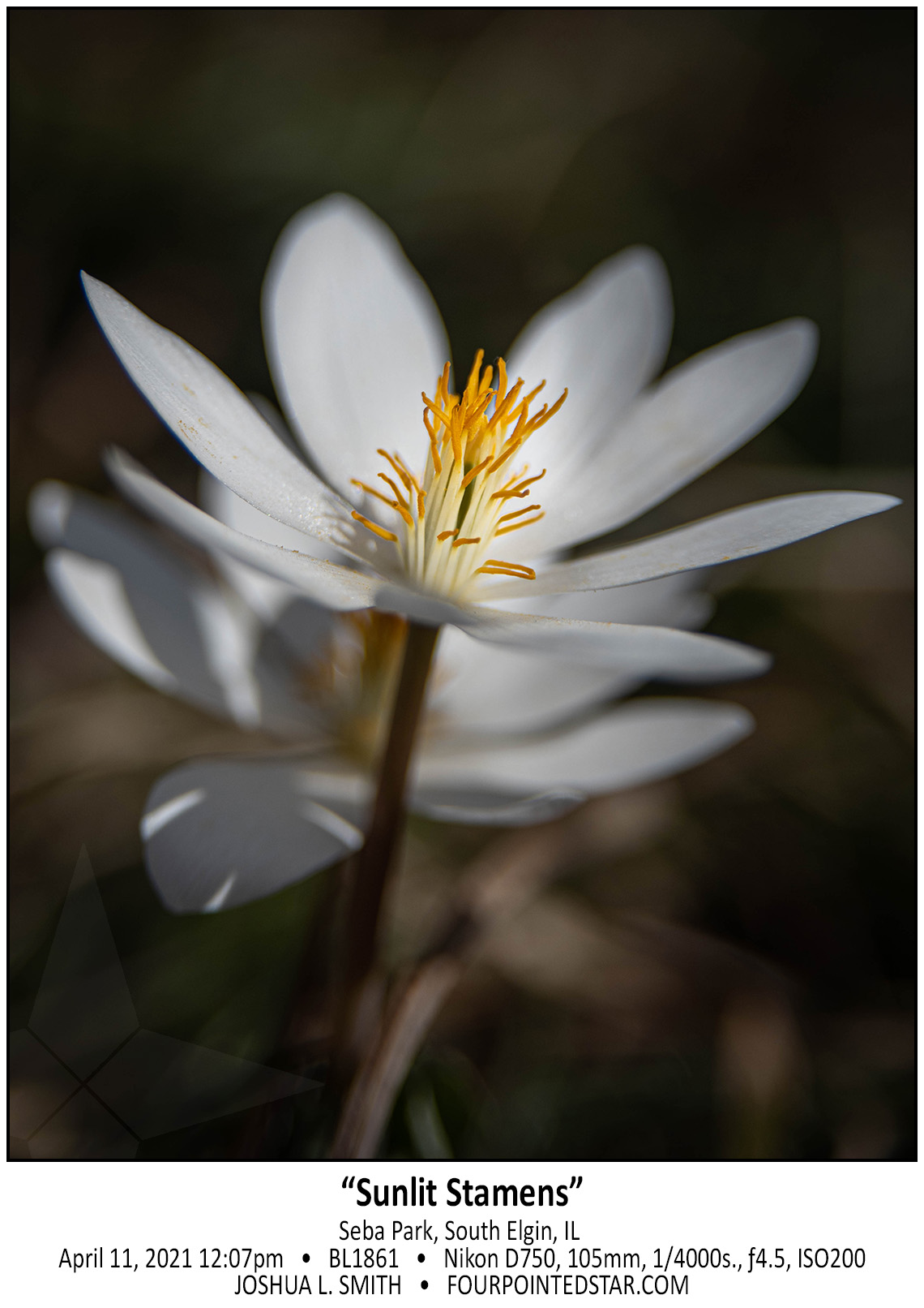 BL1861 210404 120722