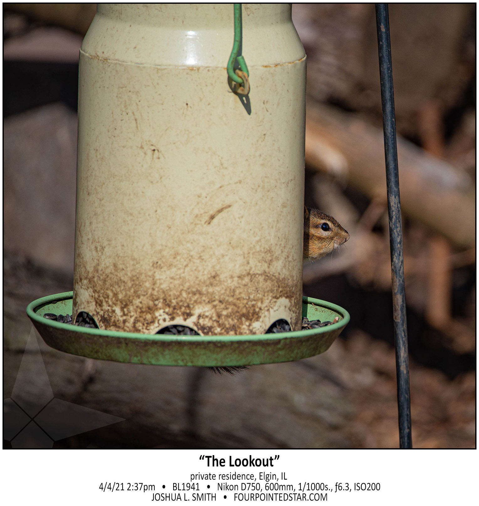 BL1941 210404 143746