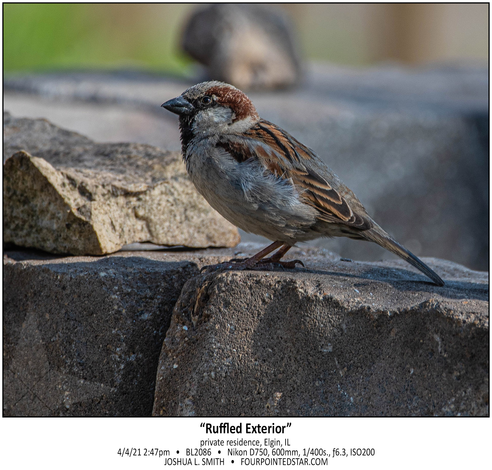 BL2086 210404 144757