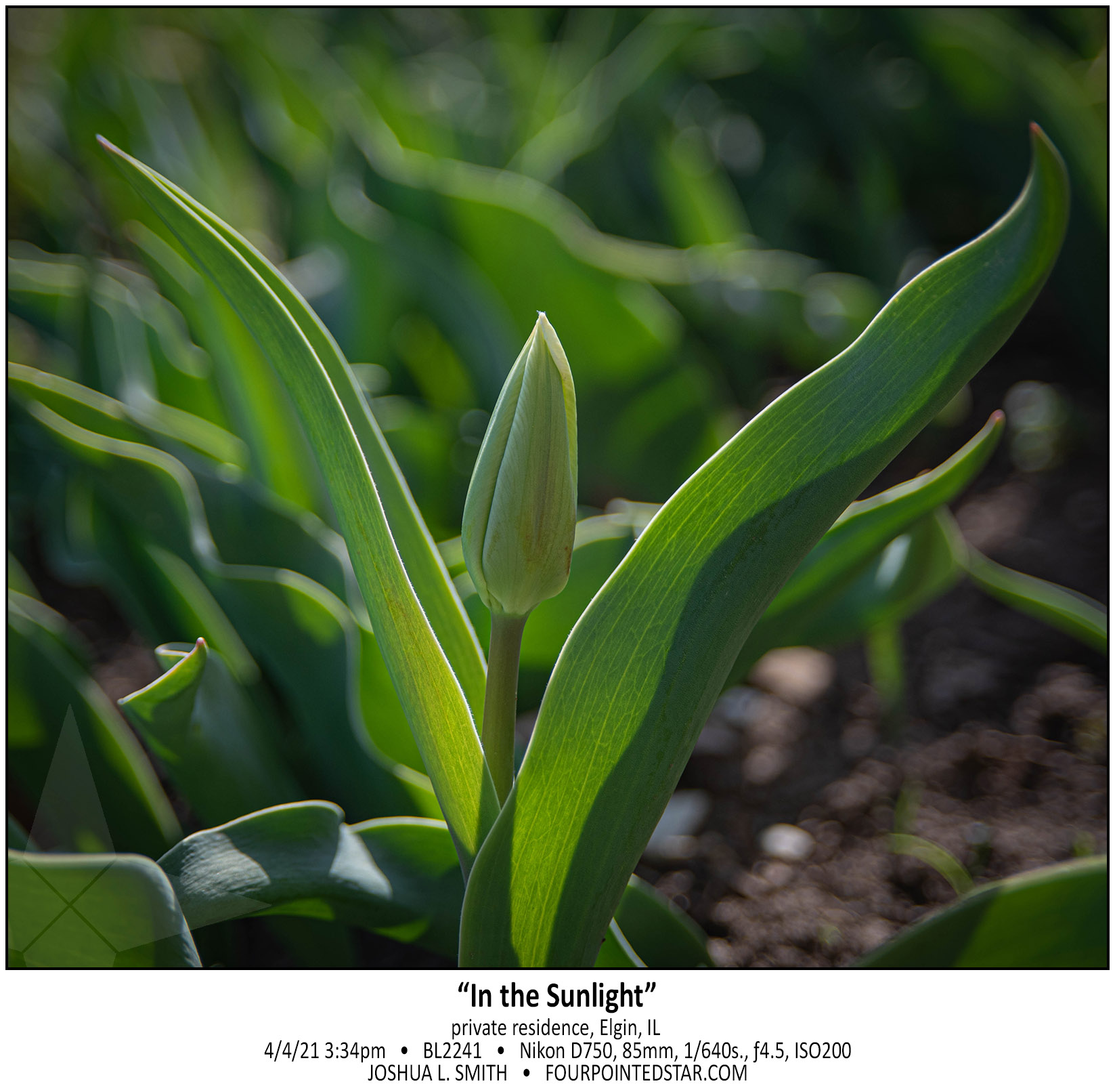 BL2241 210404 153455