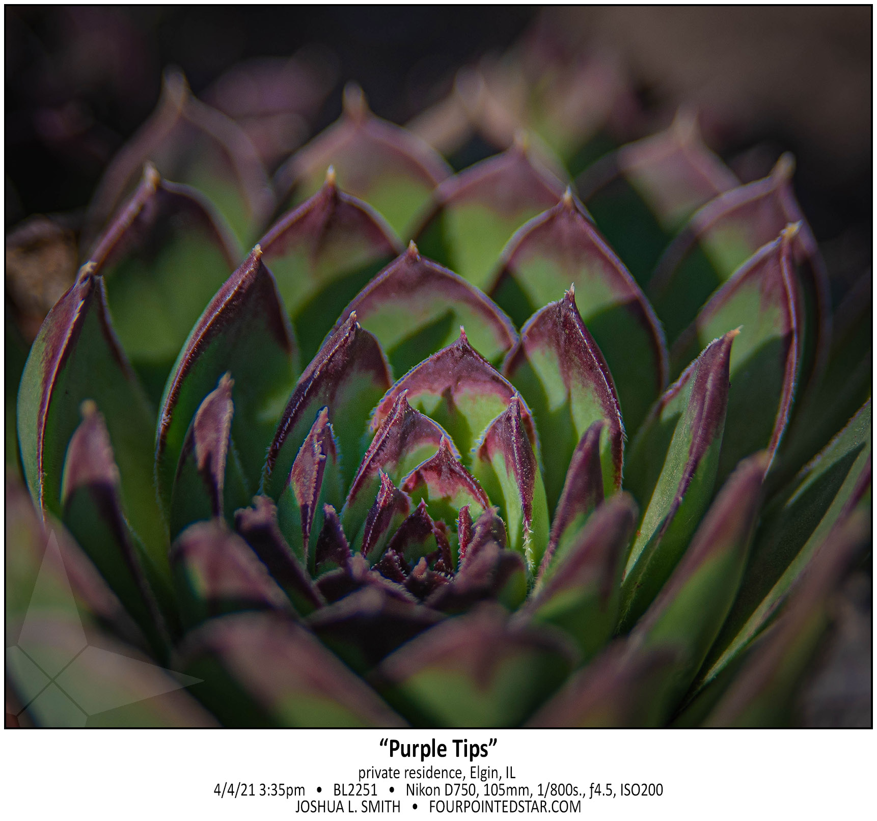 BL2251 210404 153528