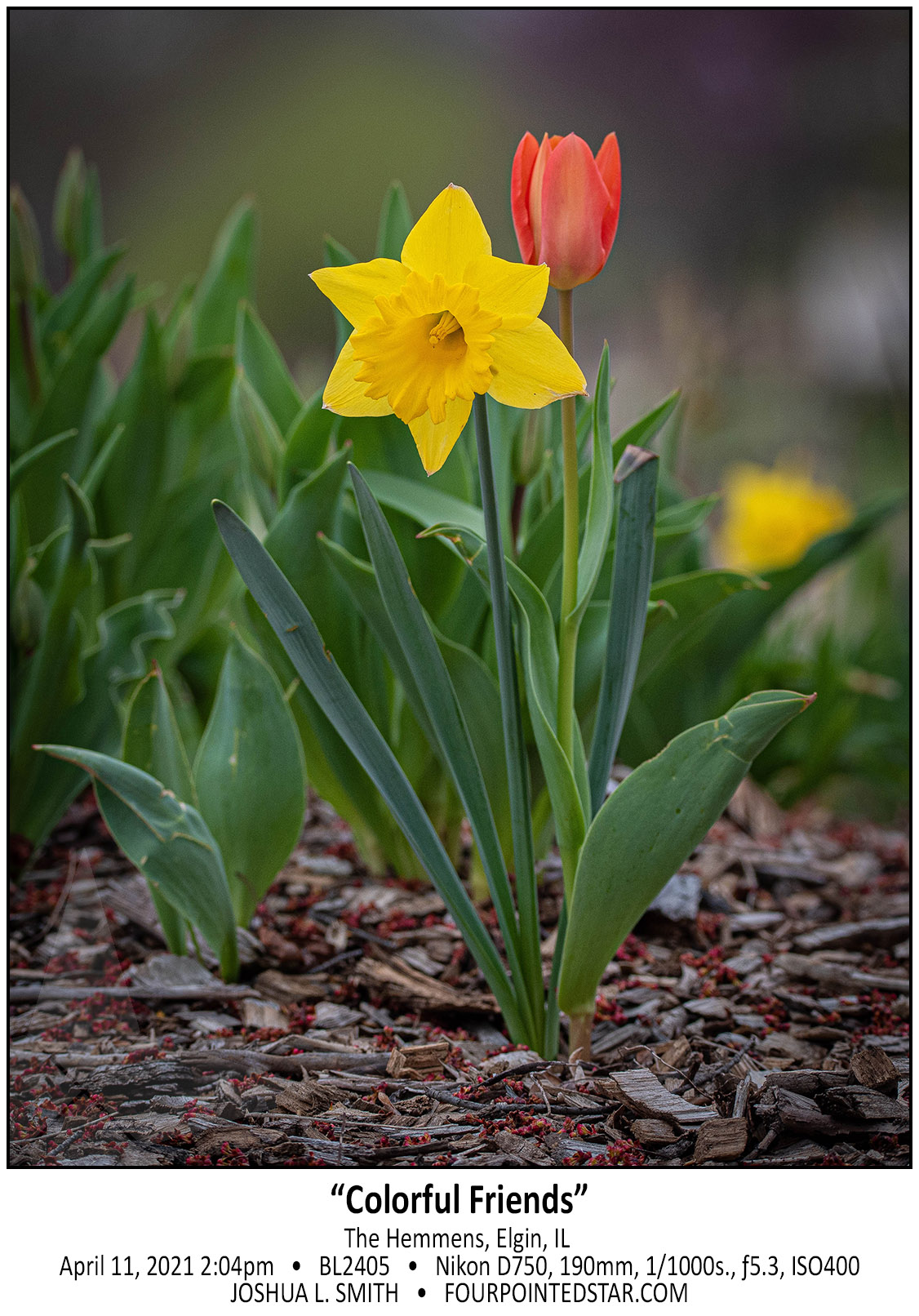 BL2405 210411 140410