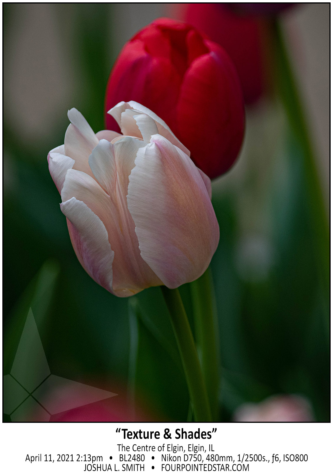 BL2480 210411 141355