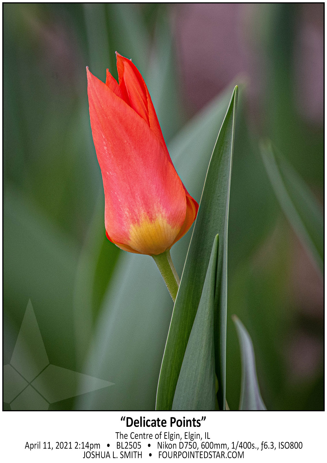 BL2505 210411 141455