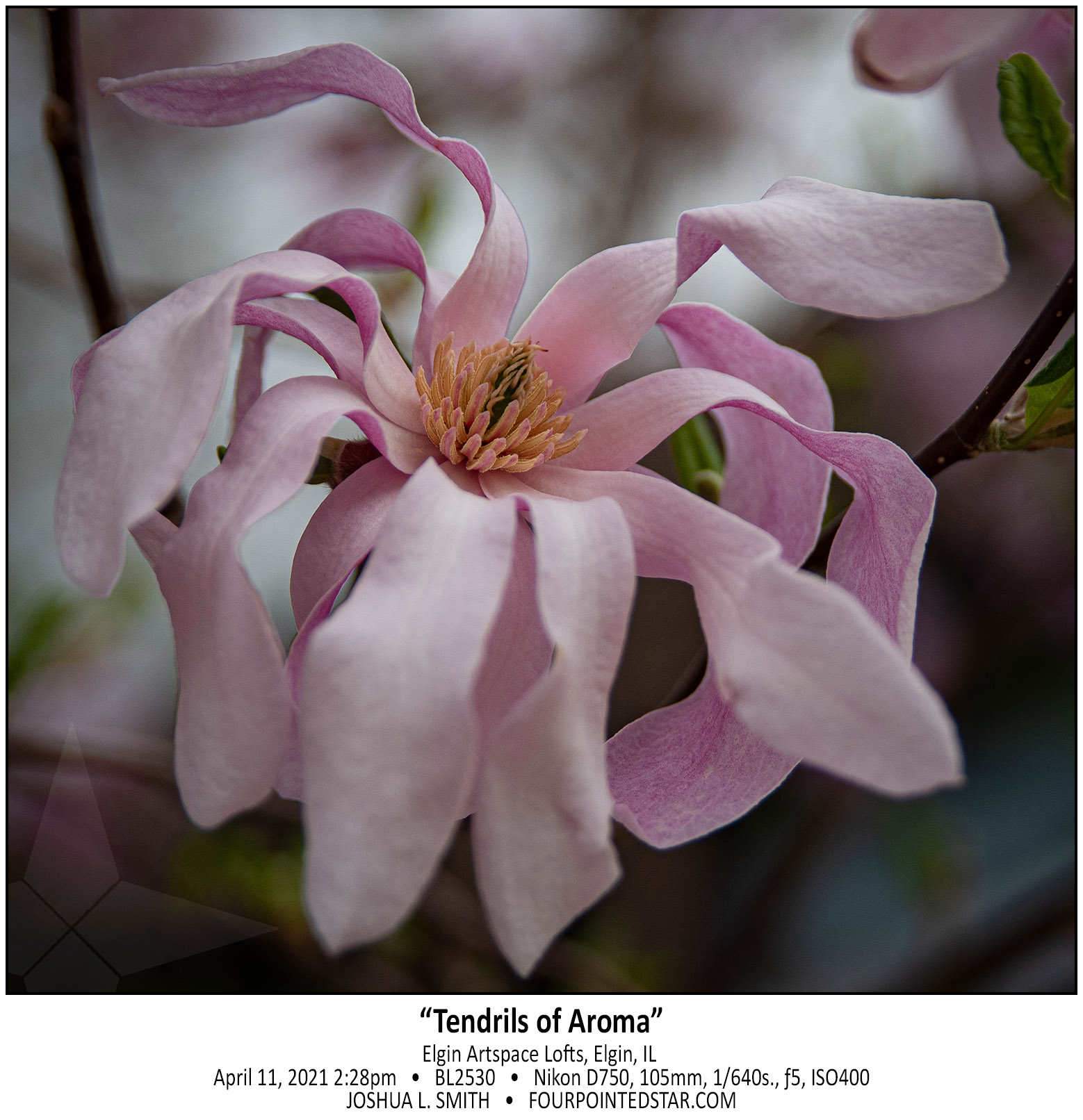 BL2530 210411 142840