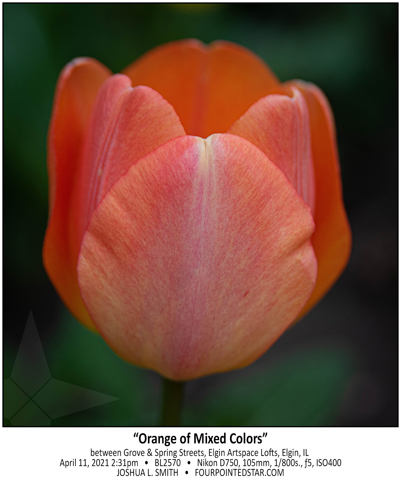 BL2570 210411 143151