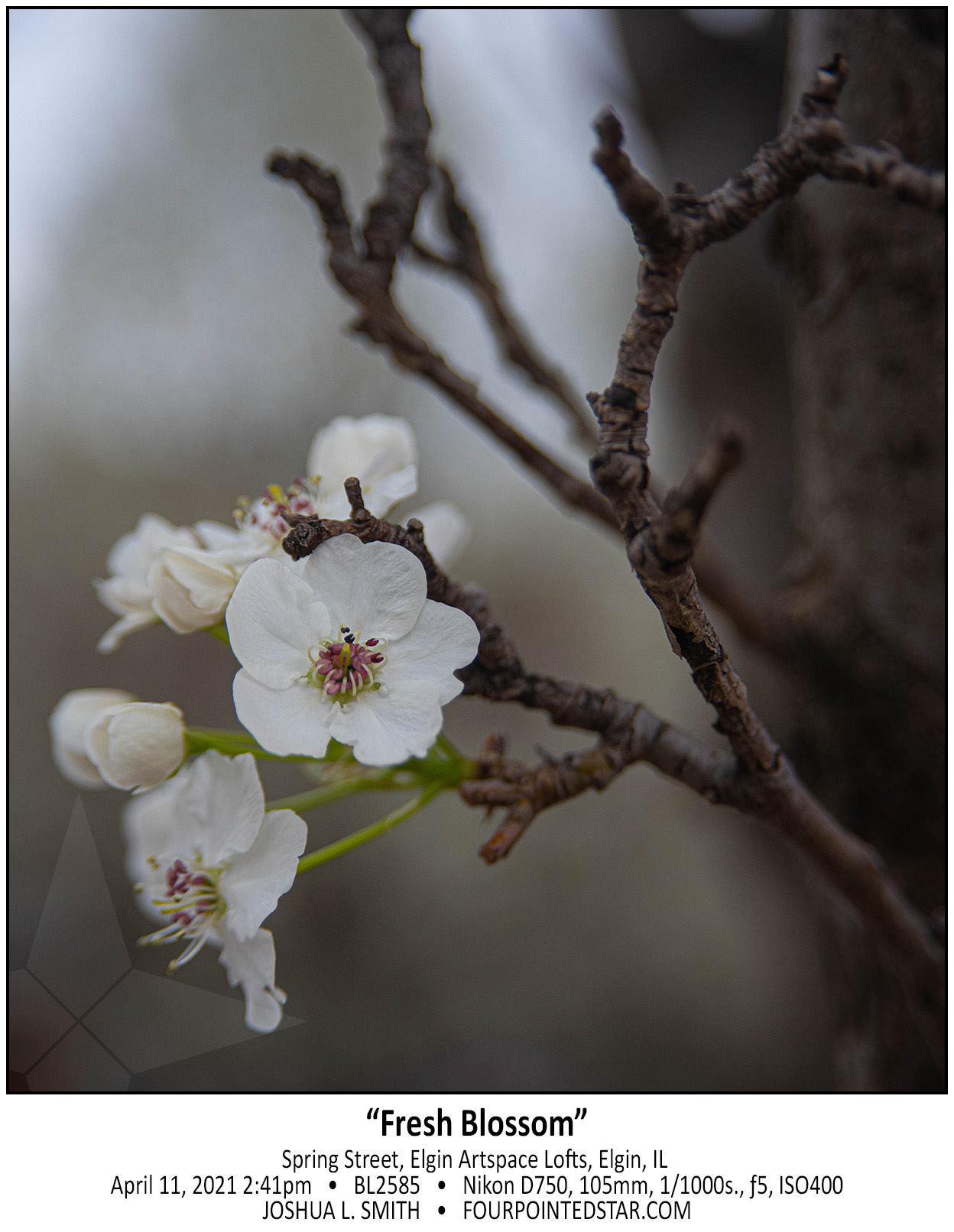 BL2585 210411 144137