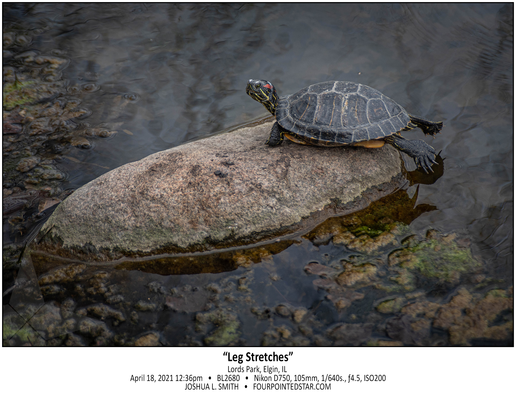 BL2680 210418 123616