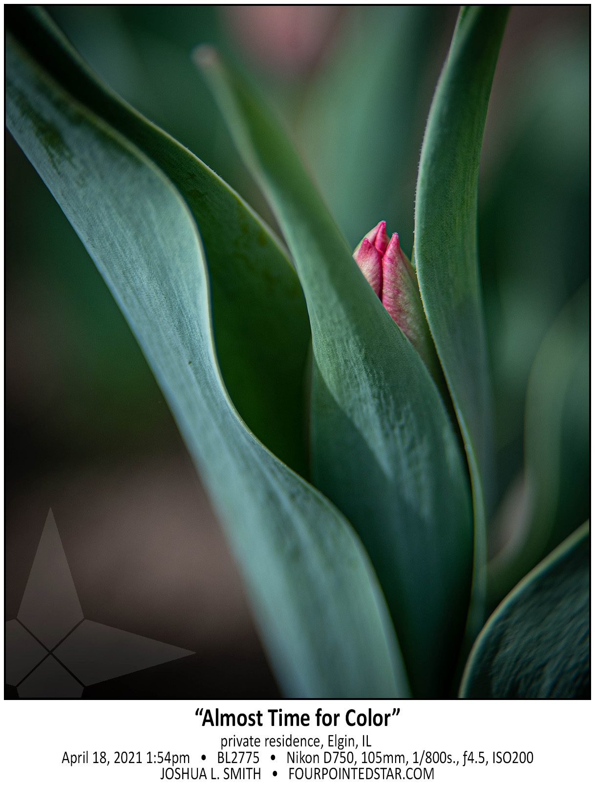 BL2775 210418 135427