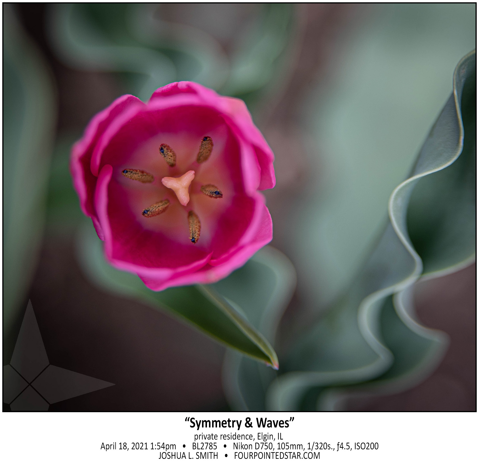 BL2785 210418 135453