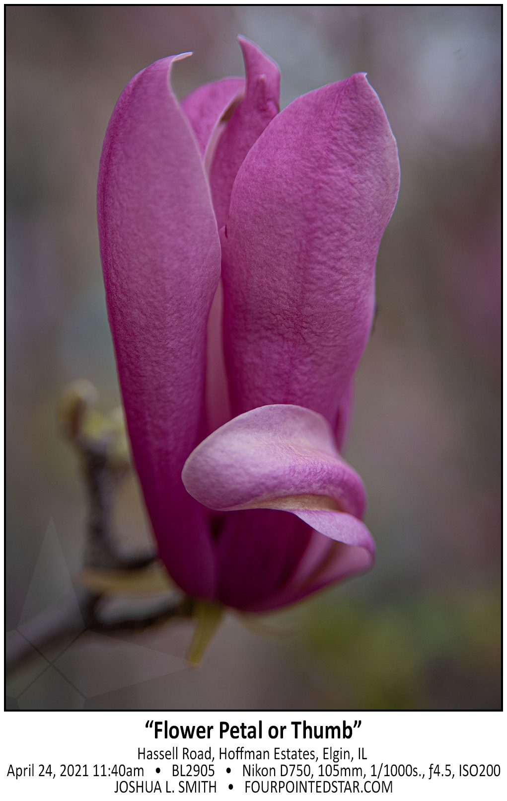 BL2905 210424 114045