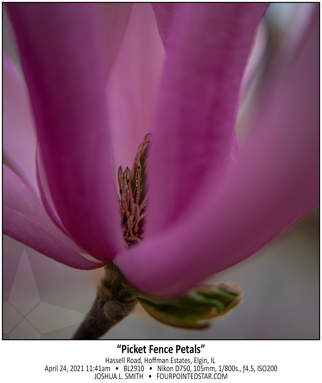 BL2910 210424 114112