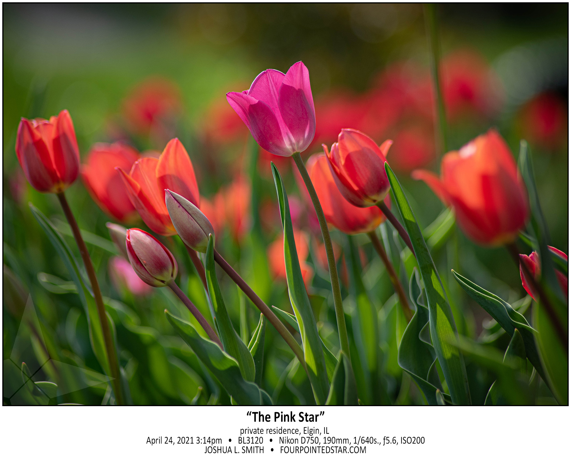 BL3120 210414 151407