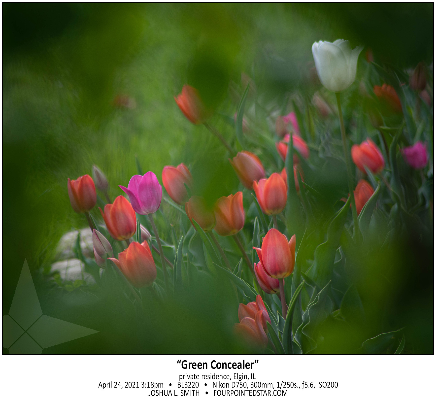 BL3220 210424 151859