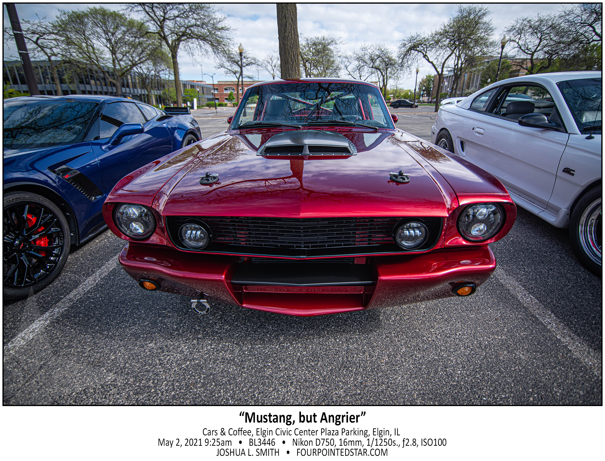 BL3446 210502 092528