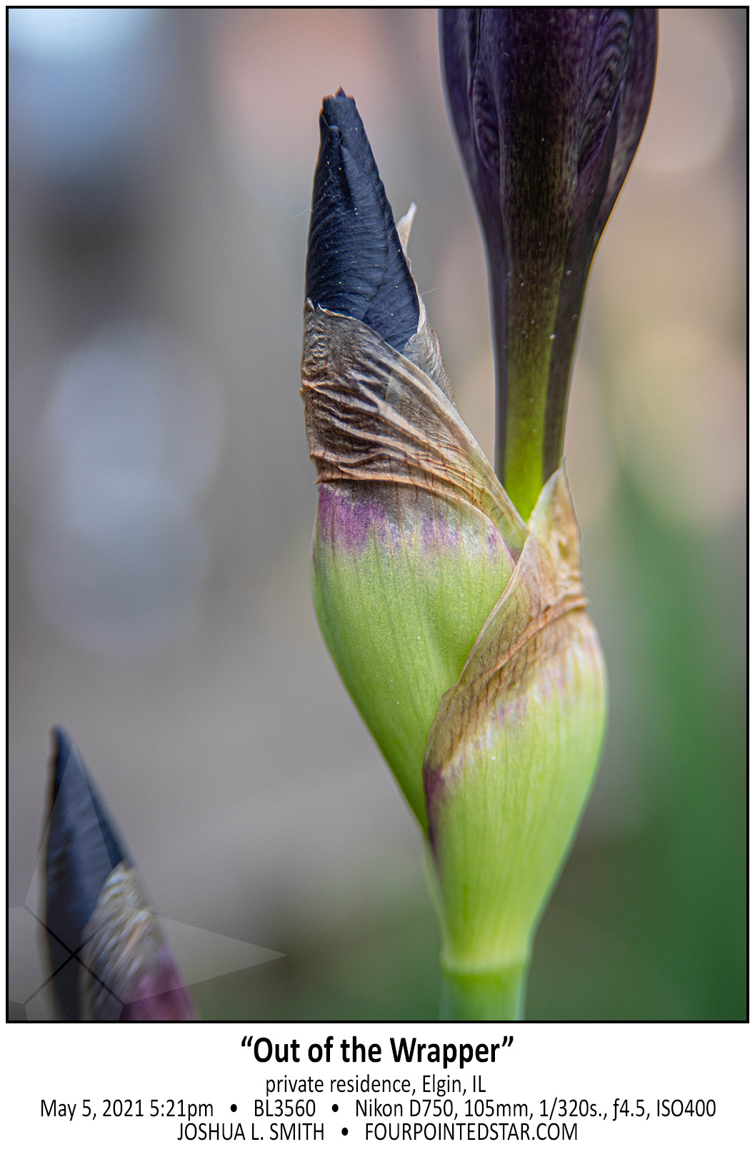 BL3560 210505 172122