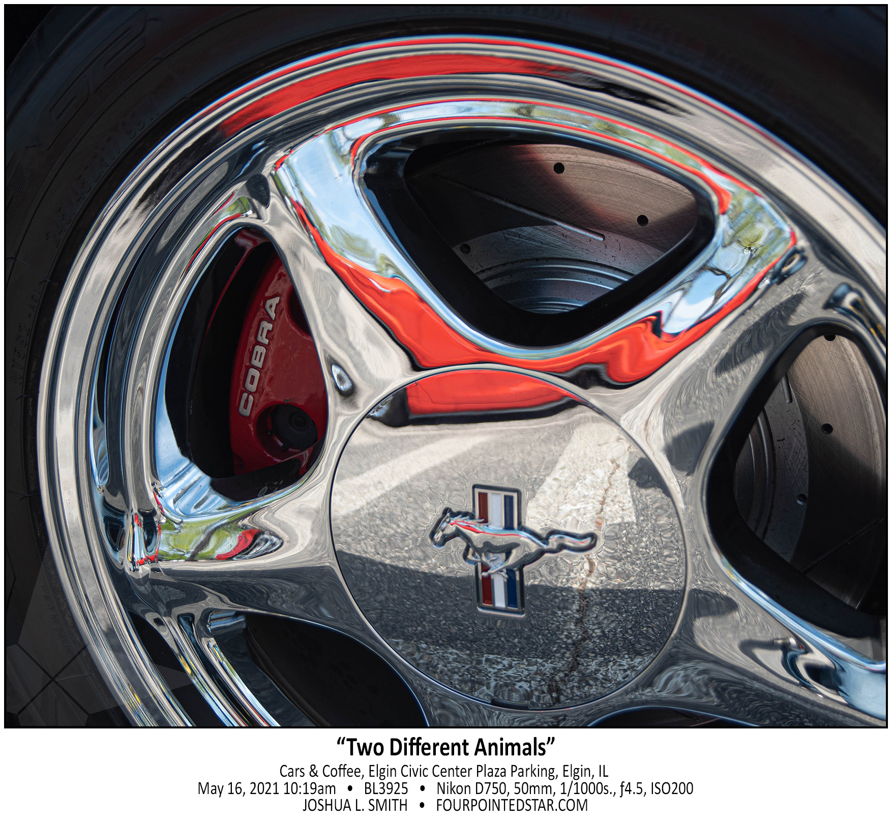 BL3925 210516 101905