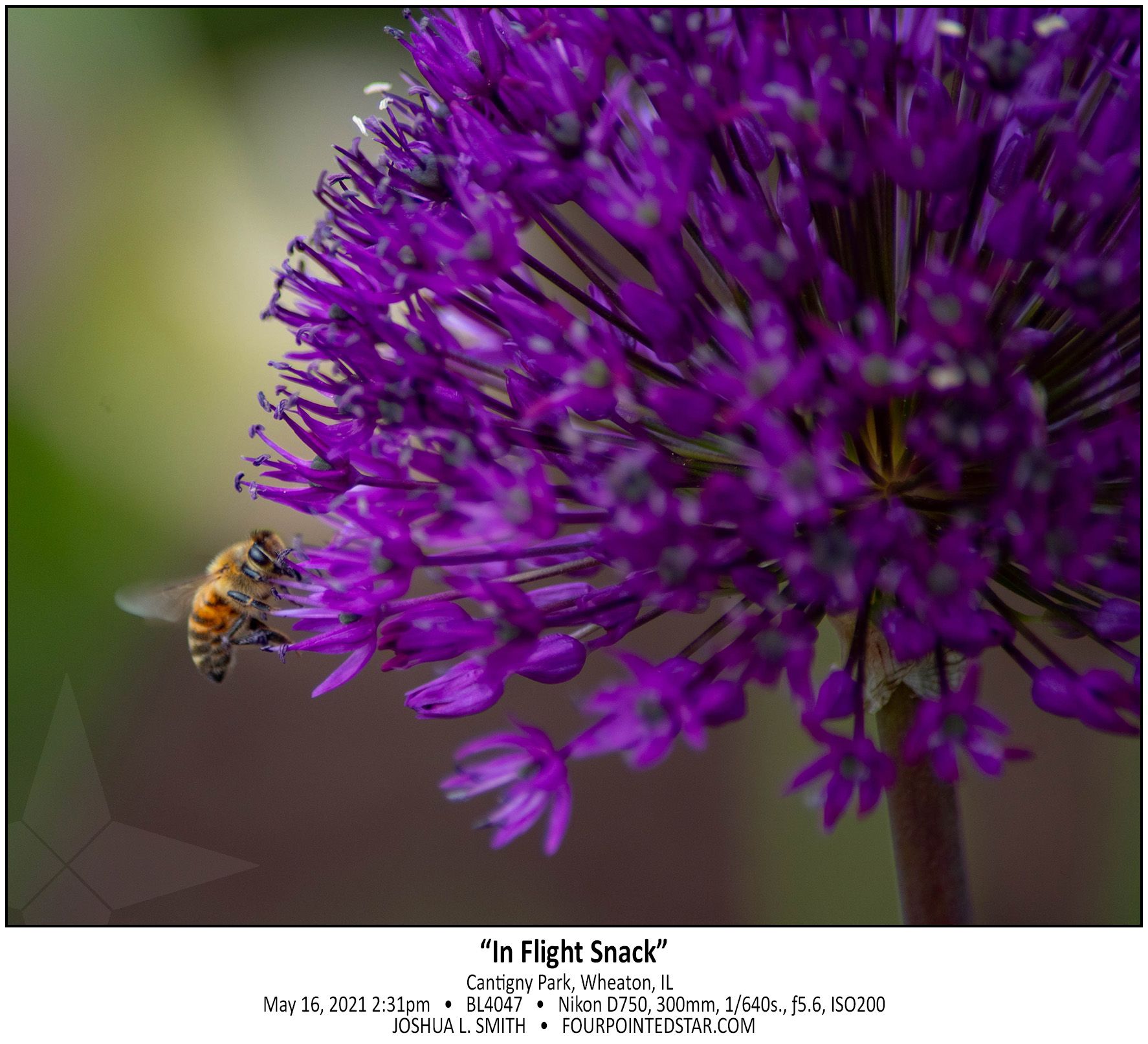 BL4047 210516 143151