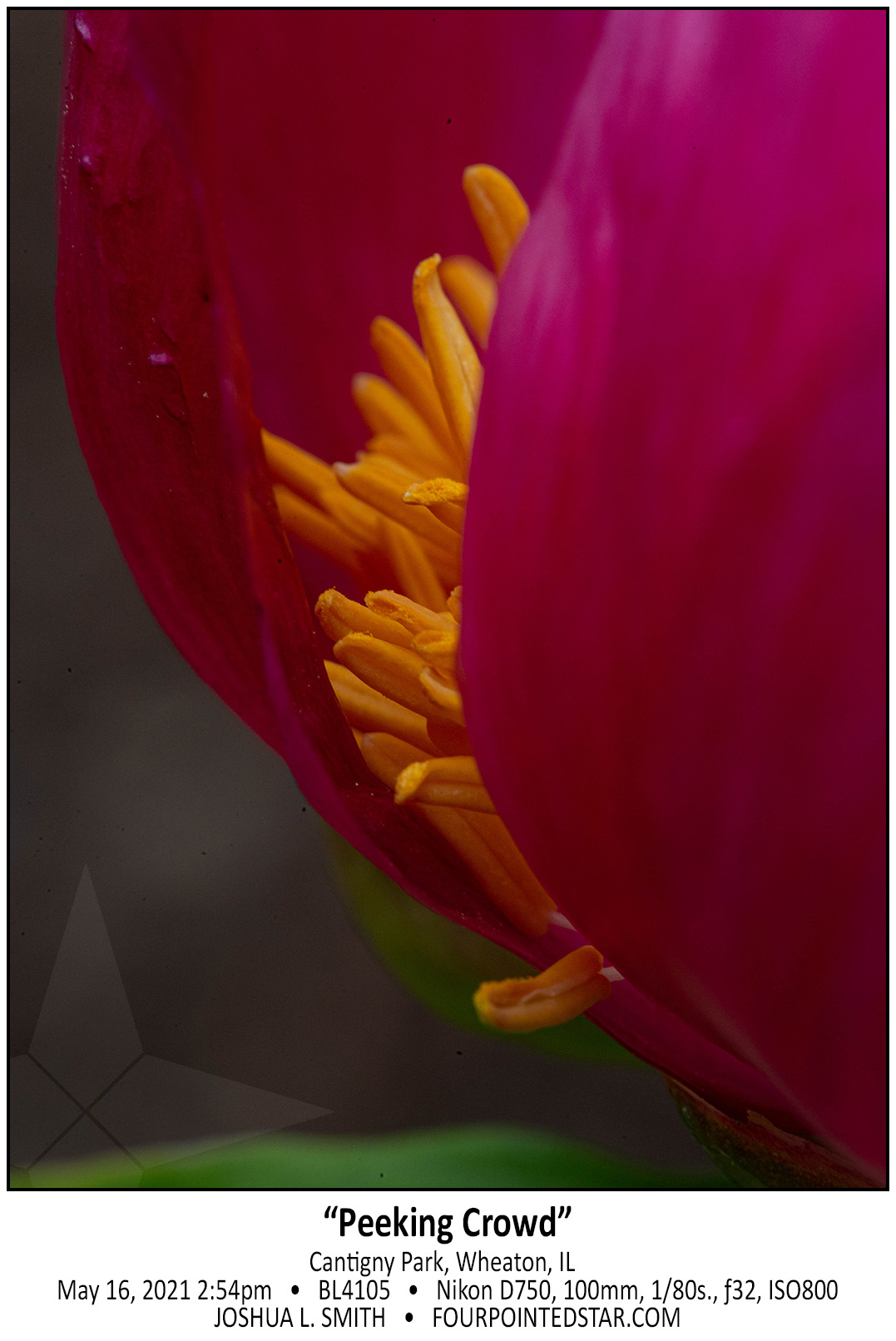 BL4105 210516 145457