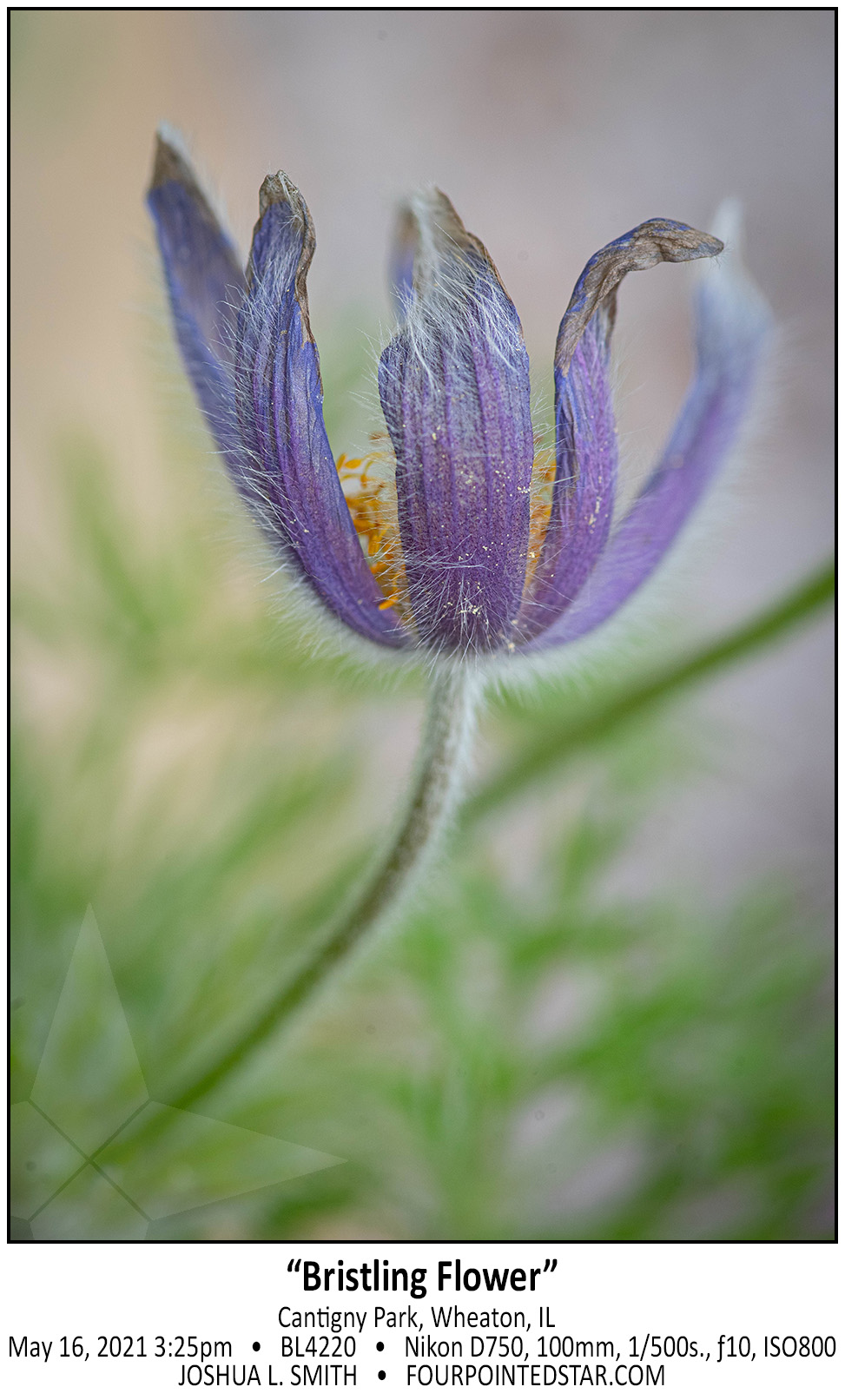 BL4220 210516 152533