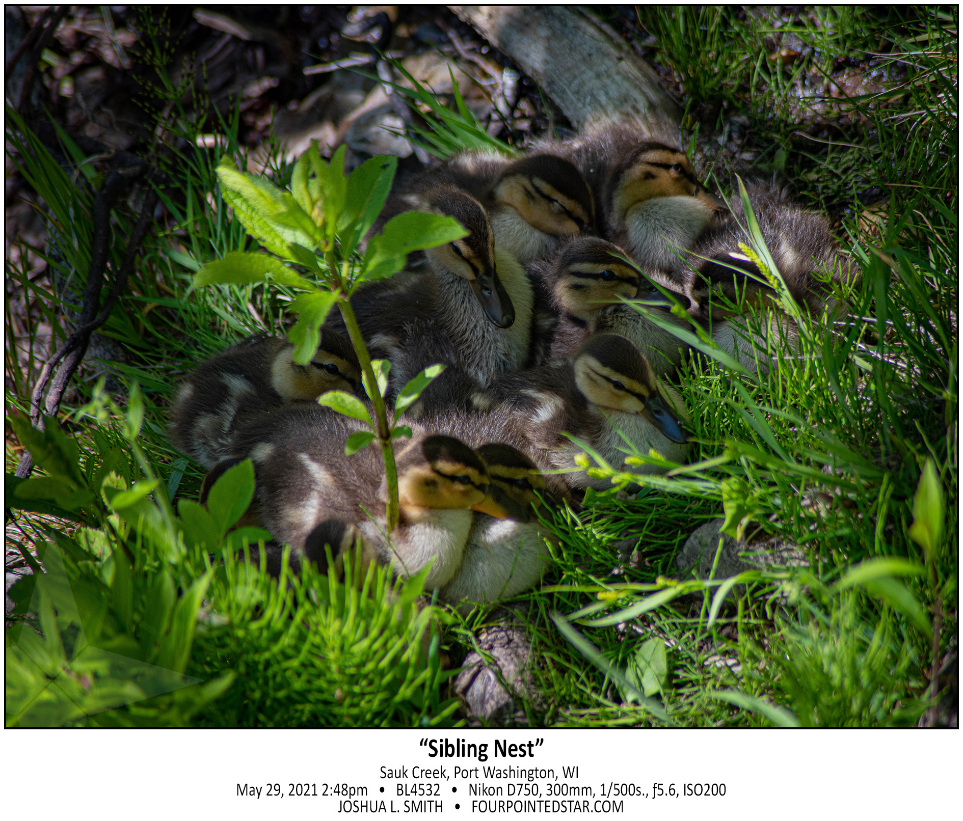 BL4532 210529 144841