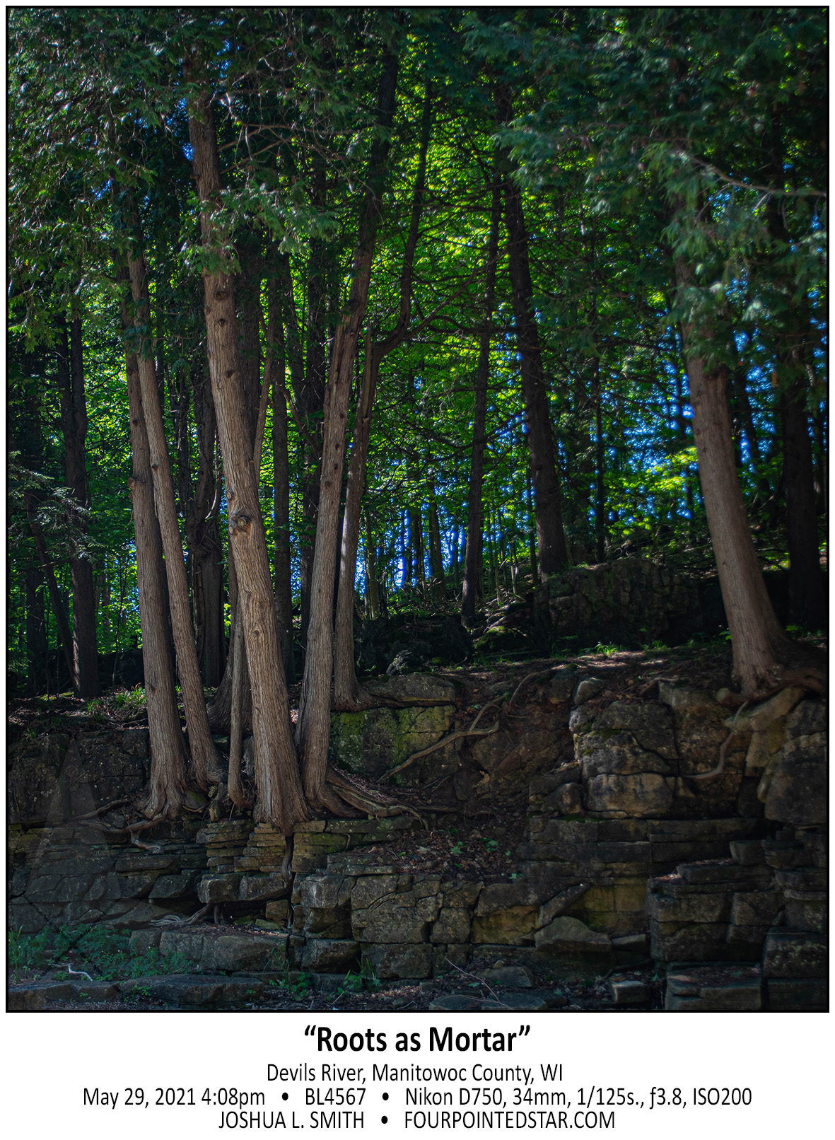 BL4567 210529 160815