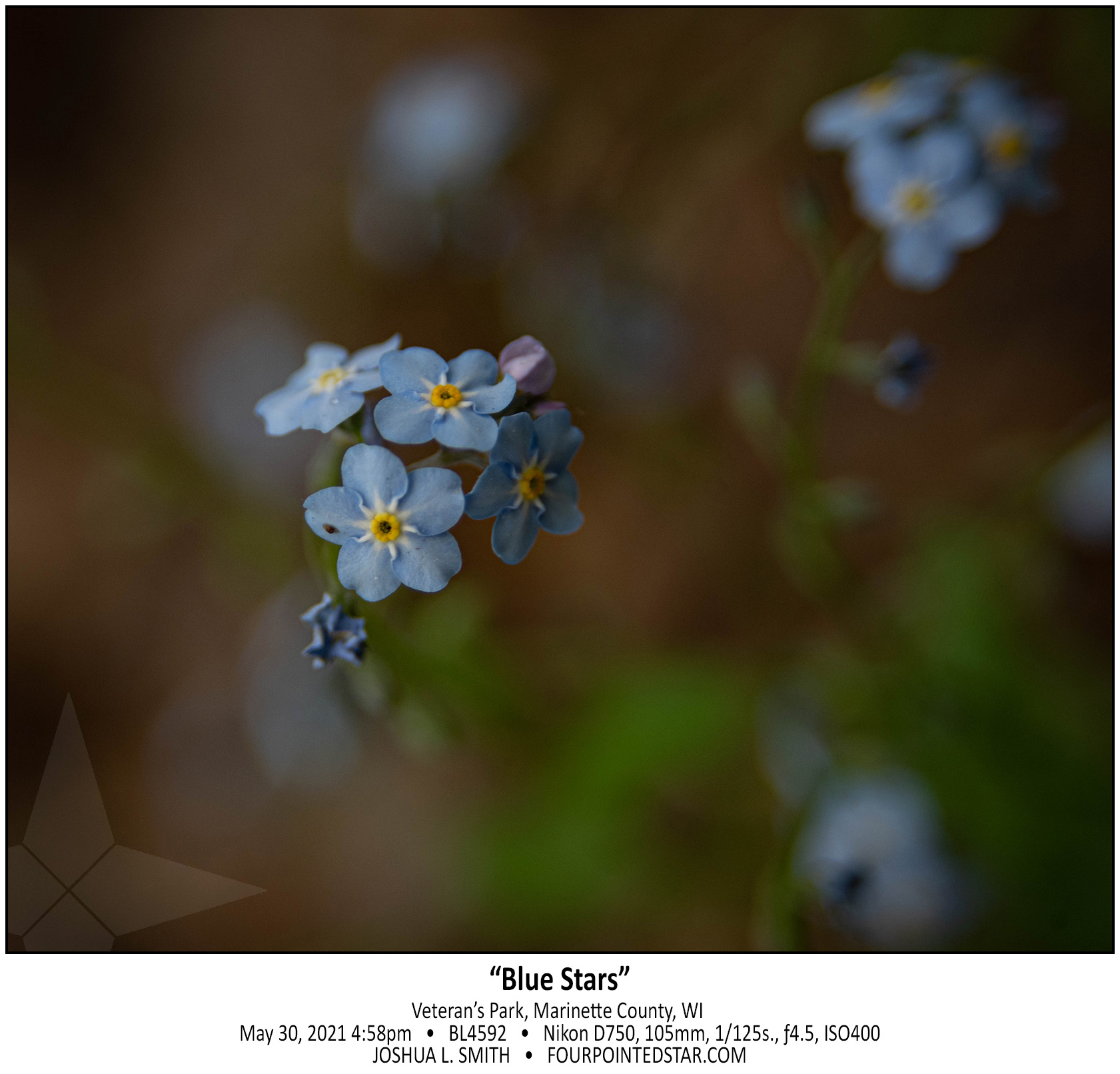 BL4592 210530 165845