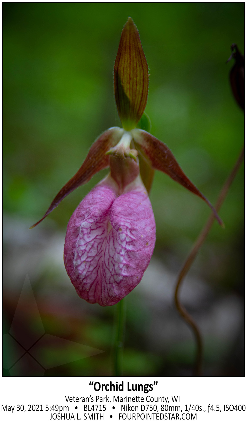 BL4715 210530 174905