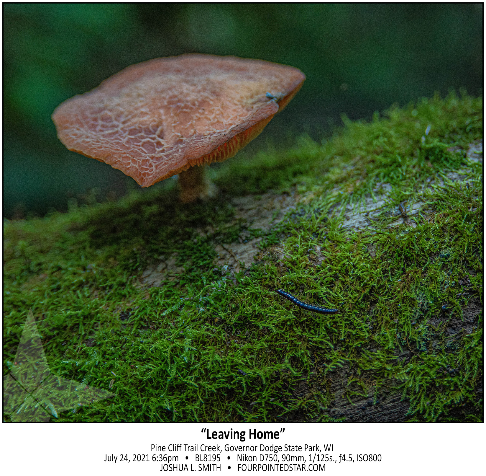 BL8195 210724 183653