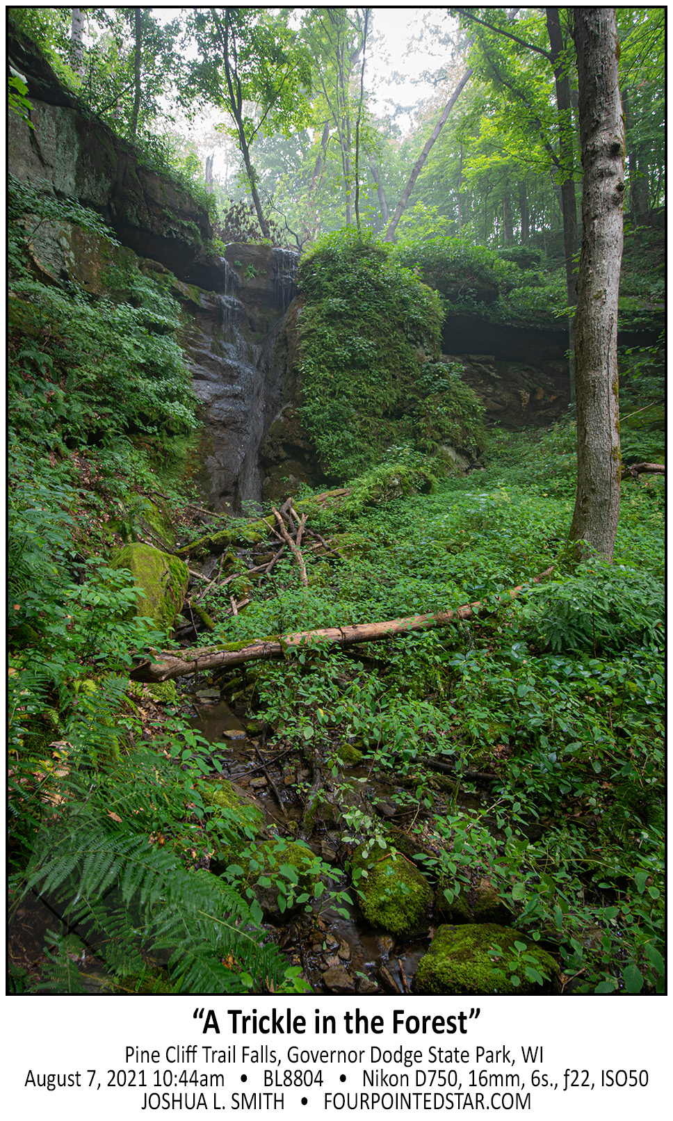 BL8804 210807 104437