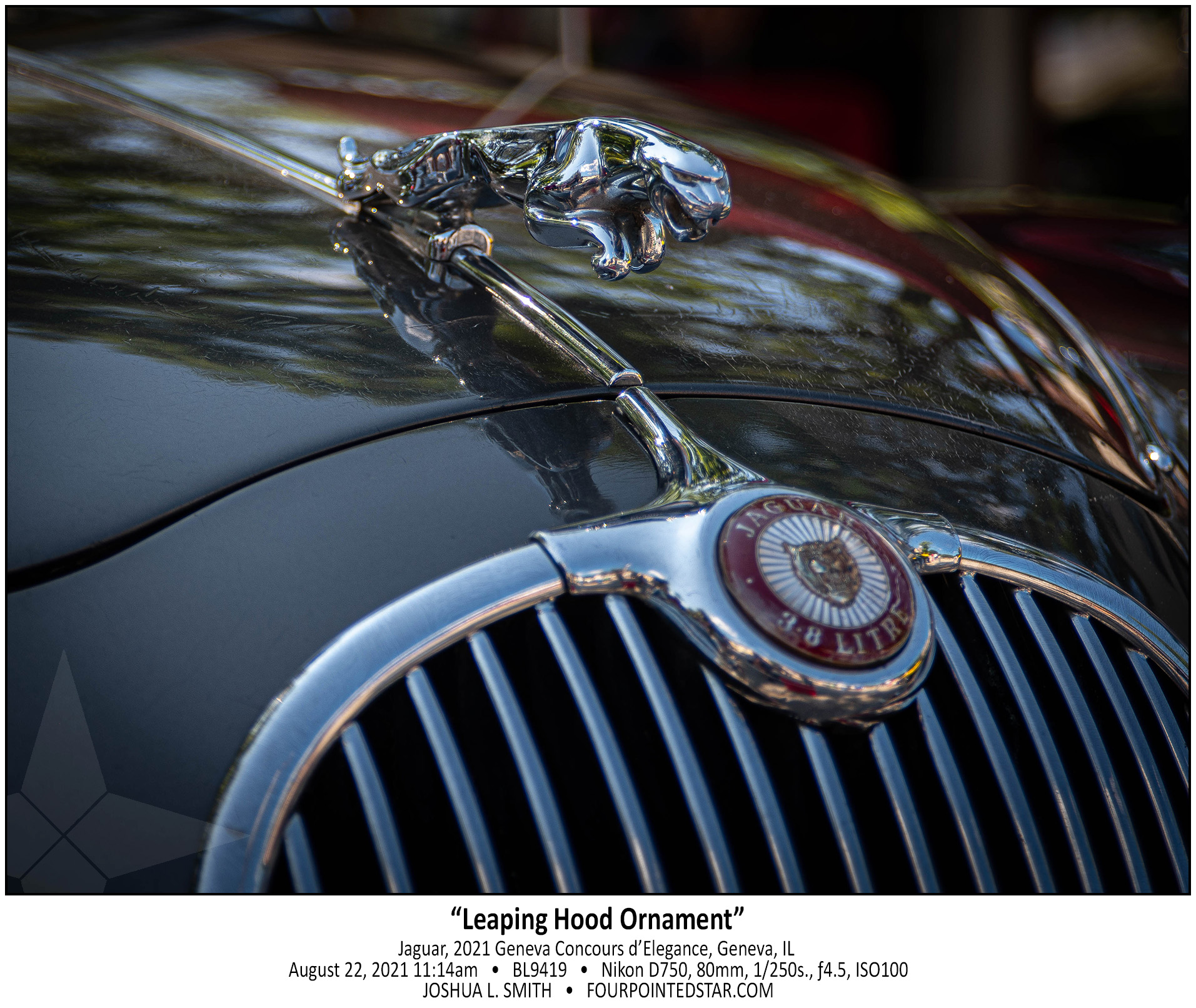 BL9419 210822 111457