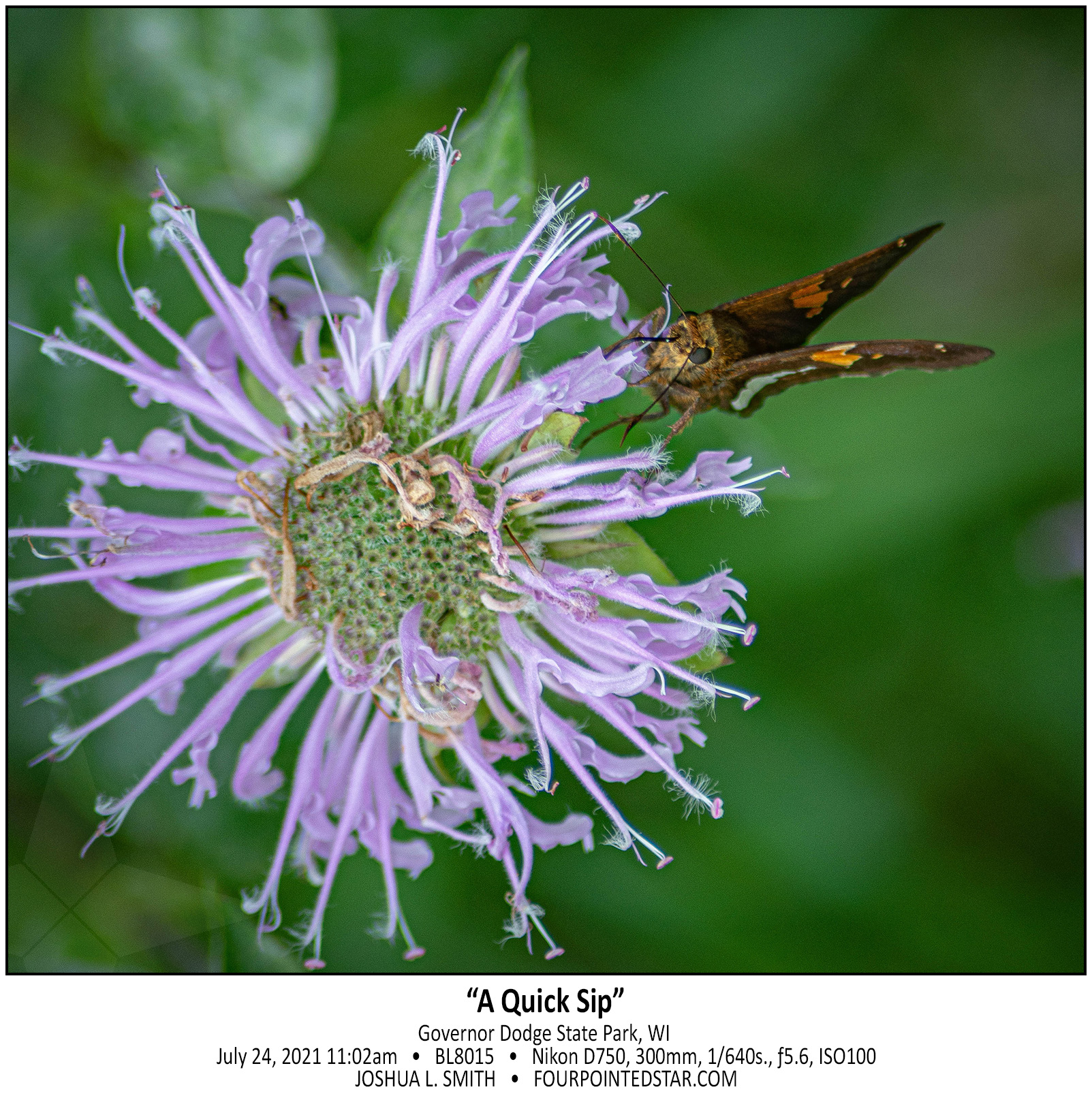 BL8015 210724 110209