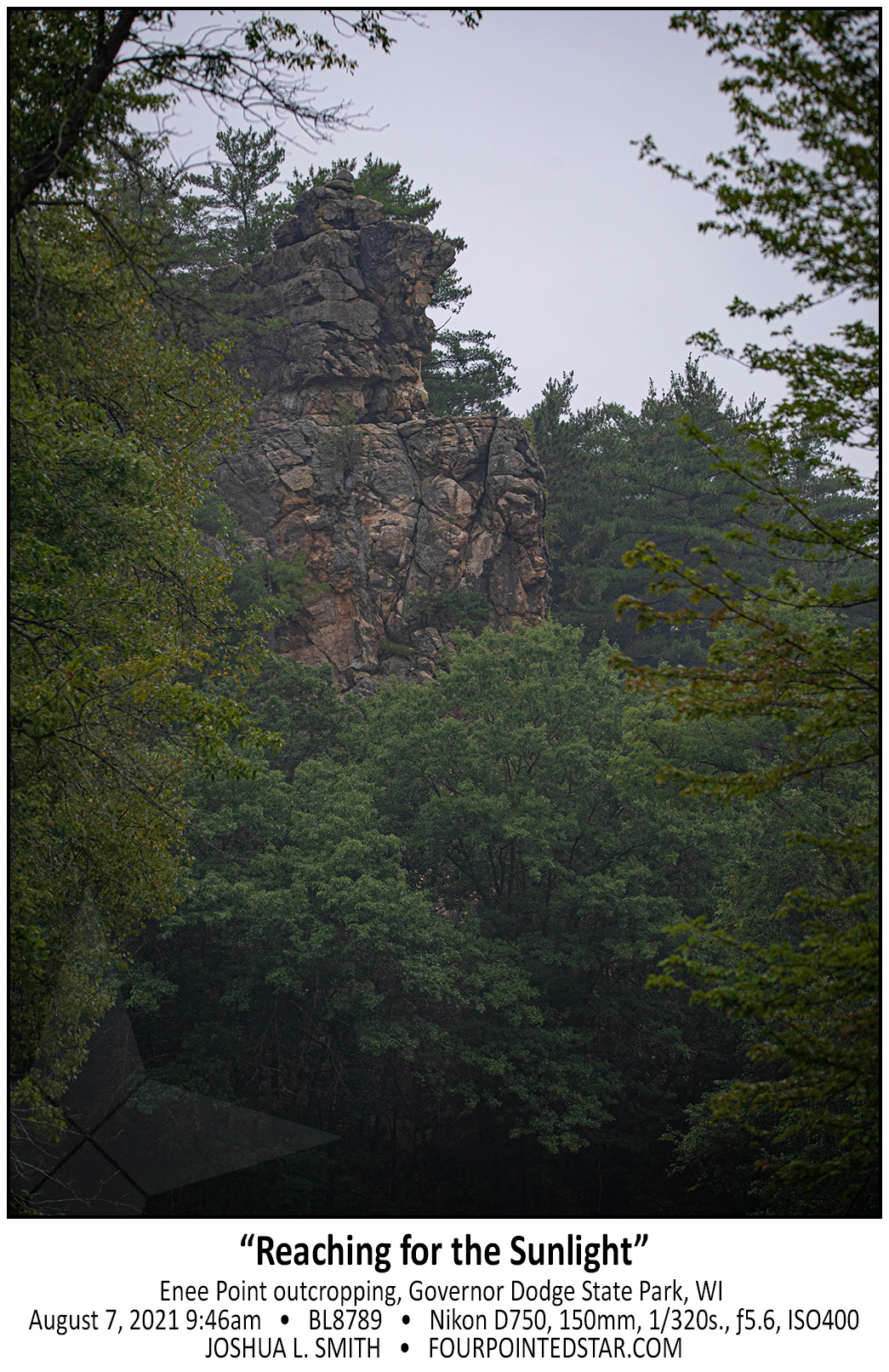 BL8789 210807 094653