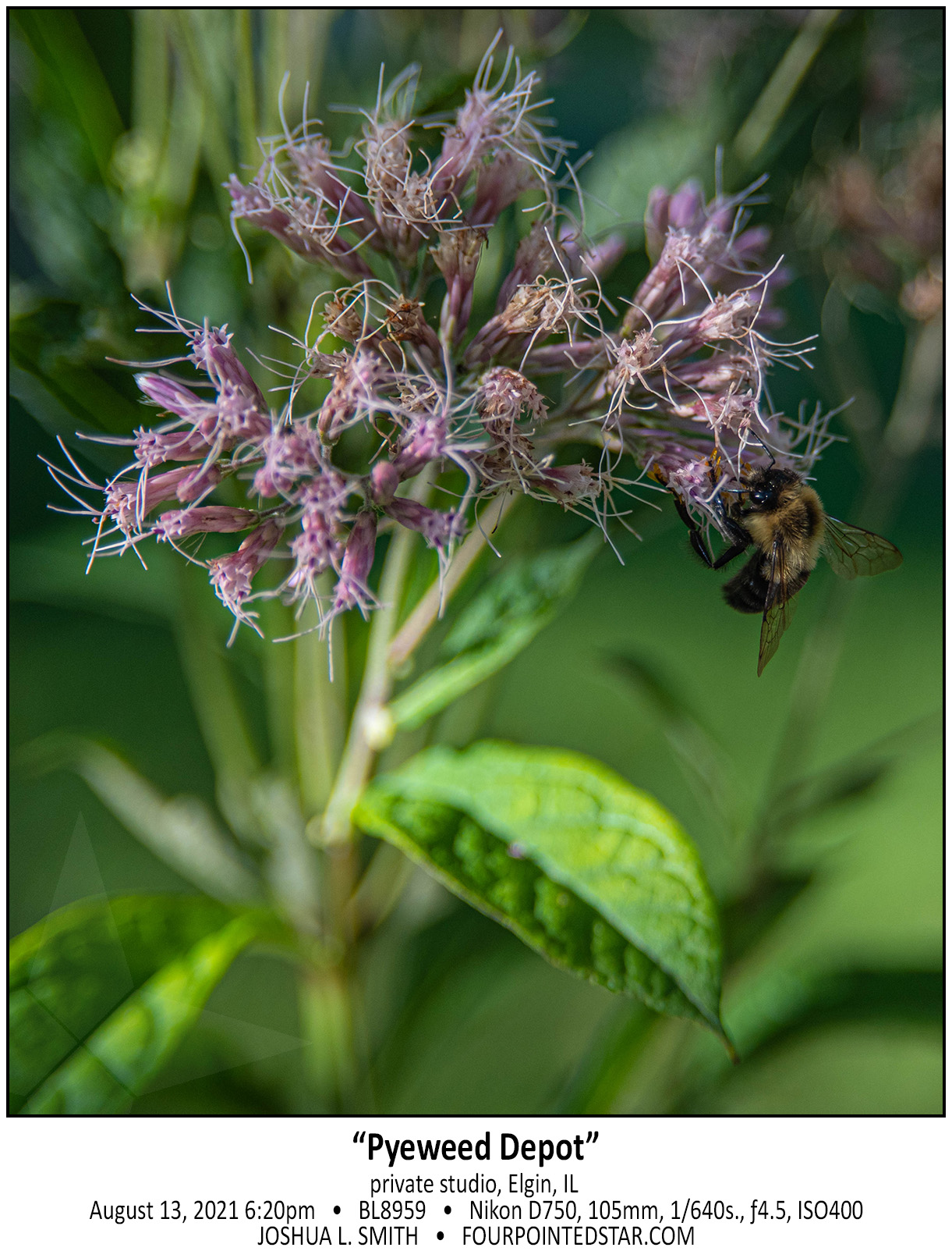 BL8959 210813 182046