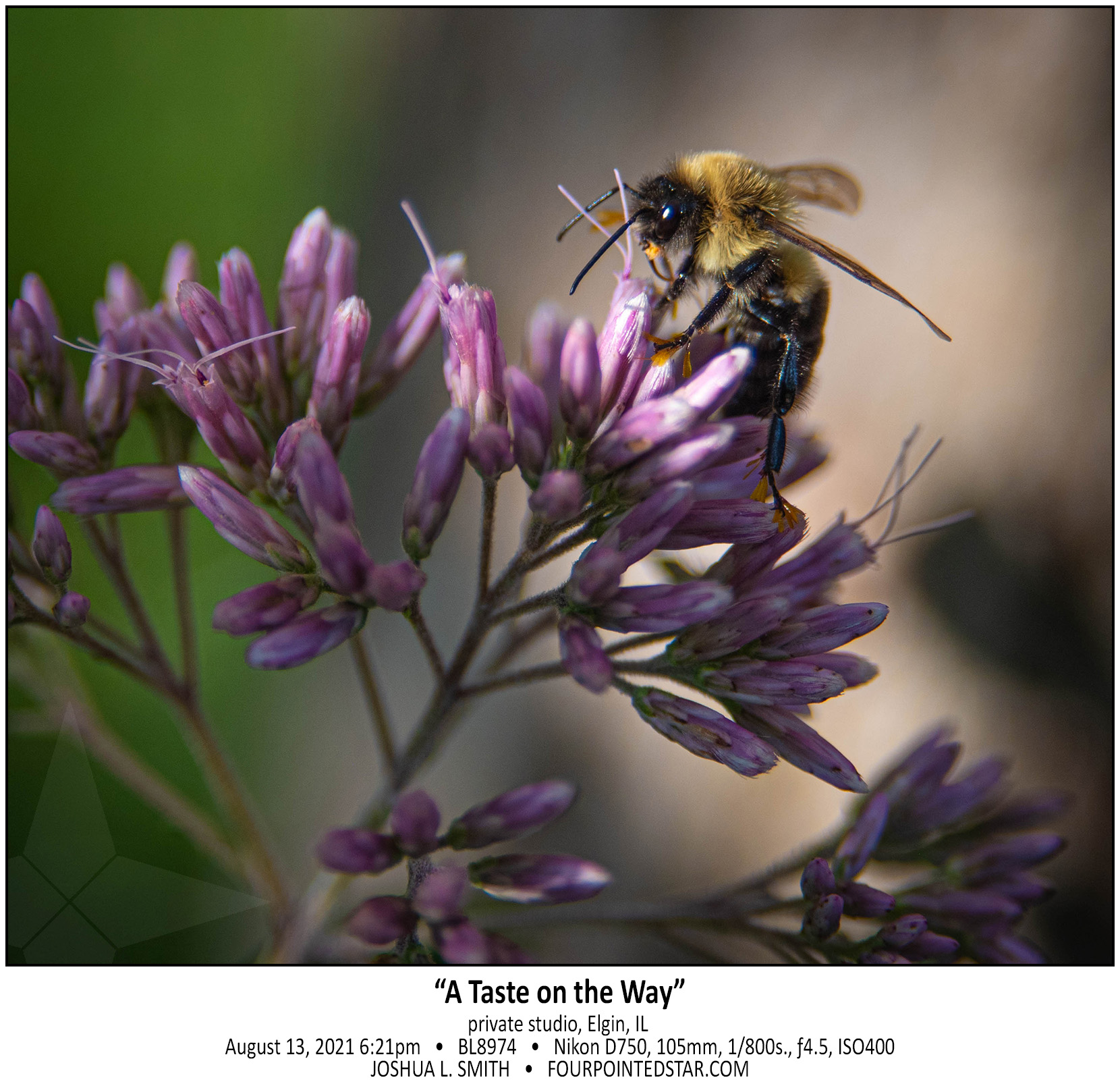 BL8974 210813 182118