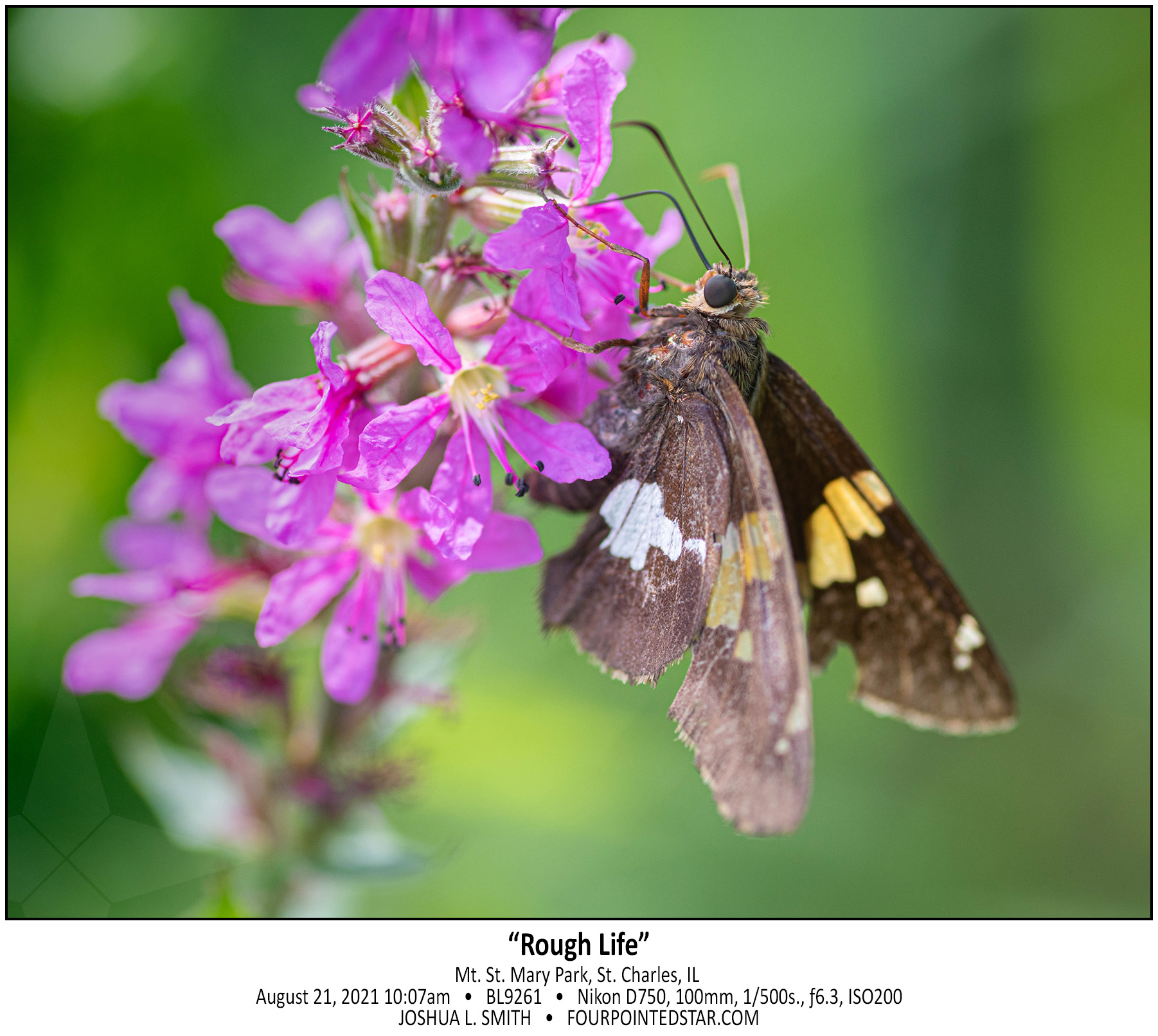 BL9261 210821 100701