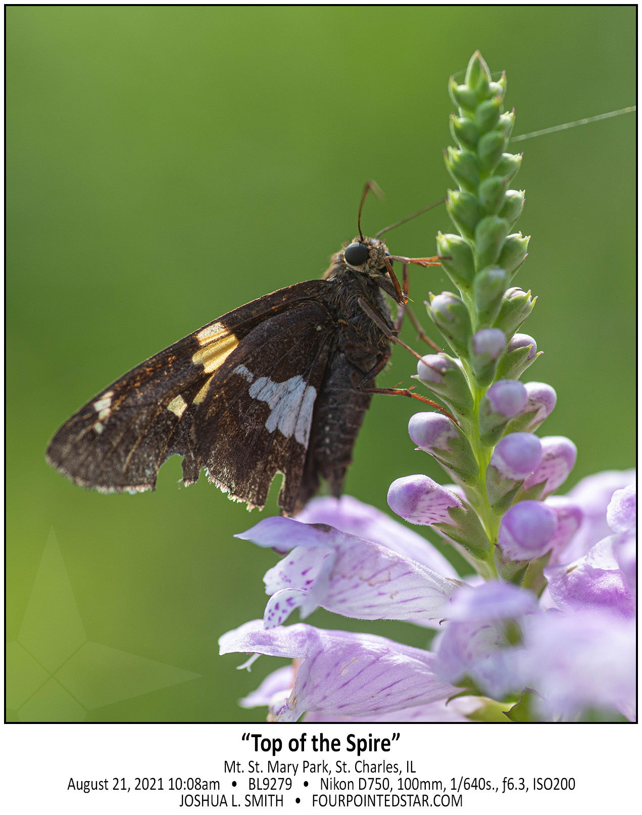 BL9279 210821 100801