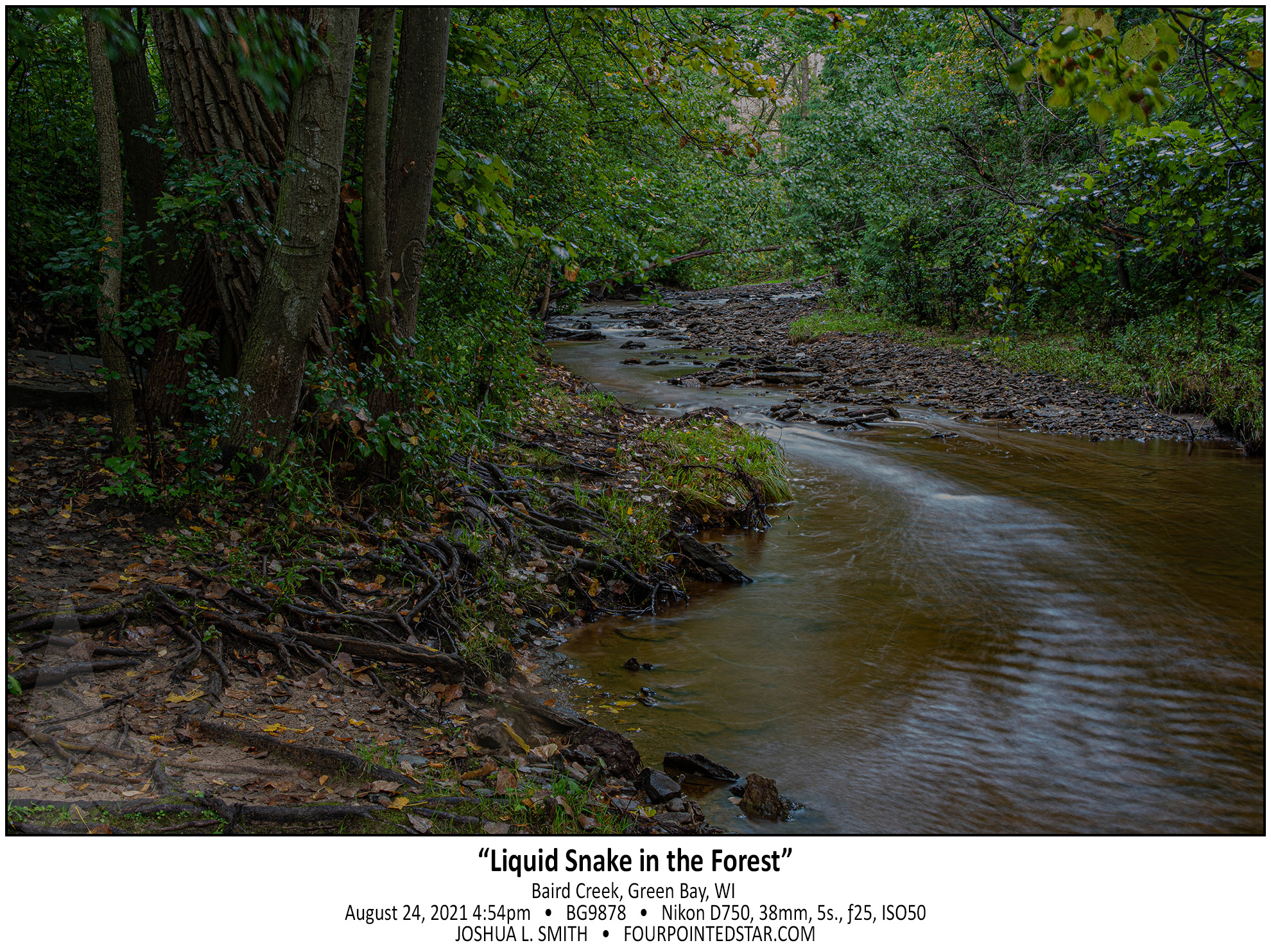 BL9878 210824 165439