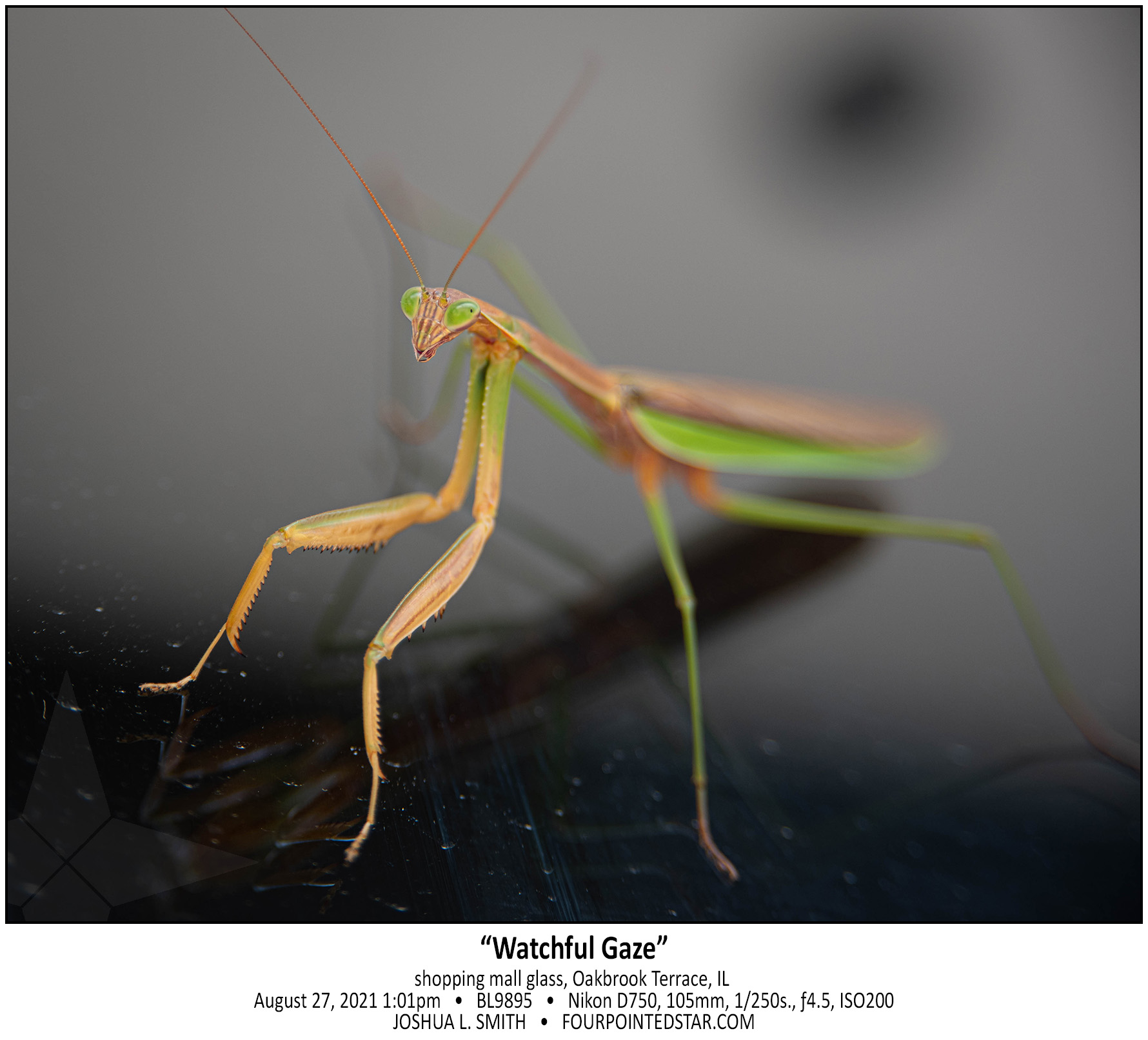 BL9895 210827 130115