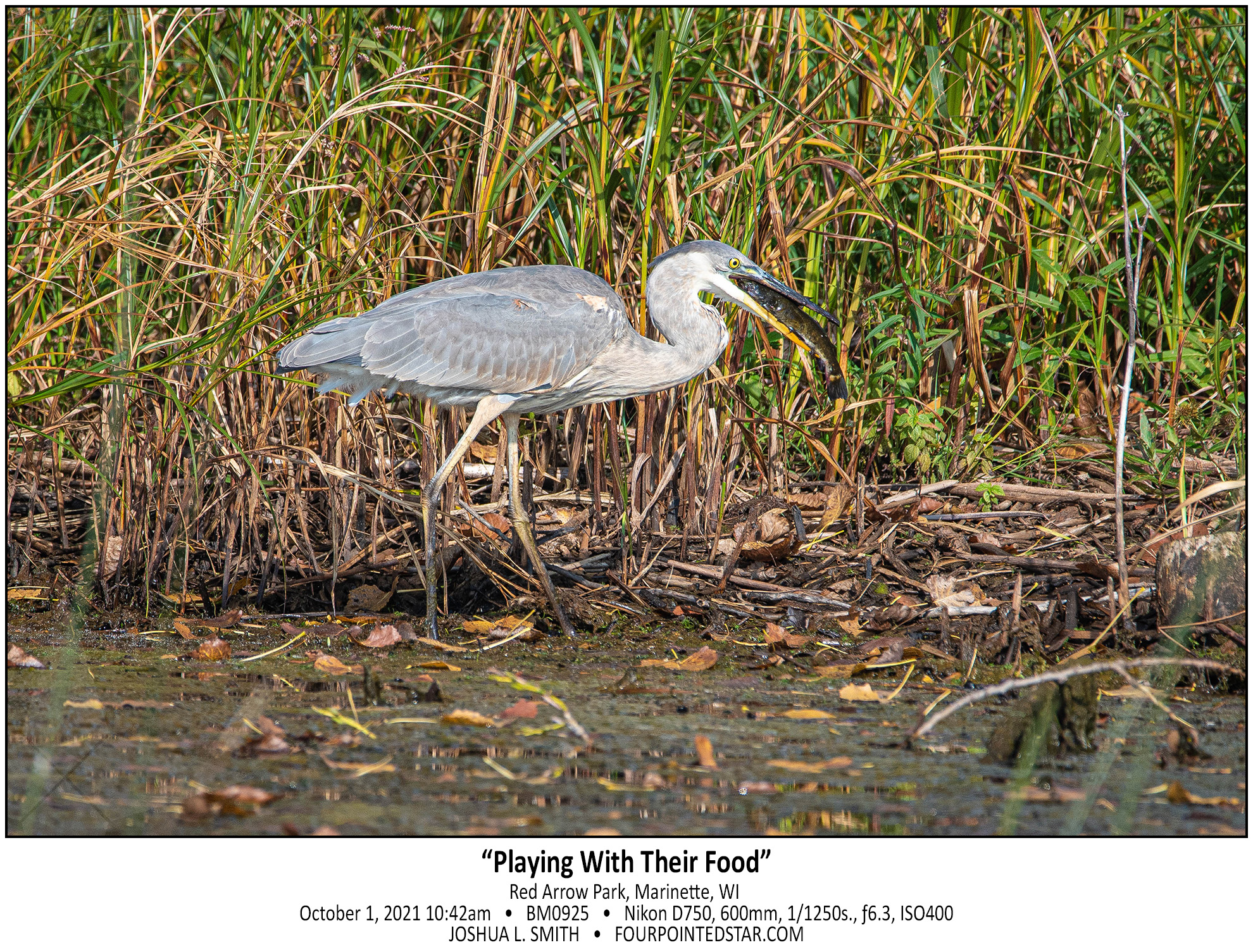 BM0925 211001 104244