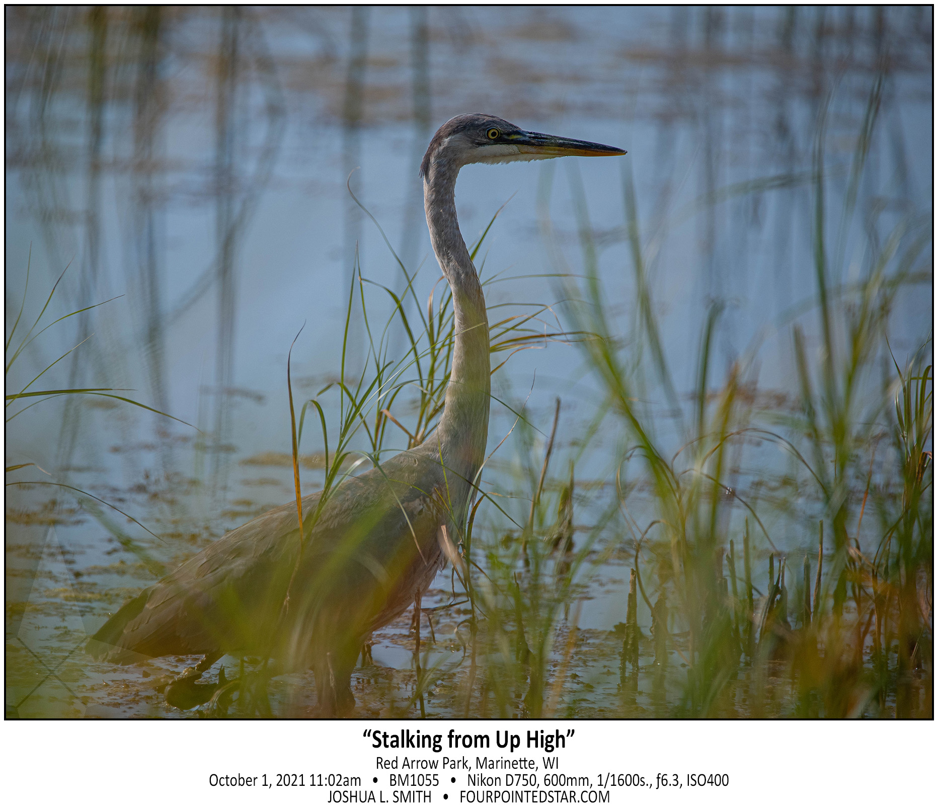 BM1055 211001 110238