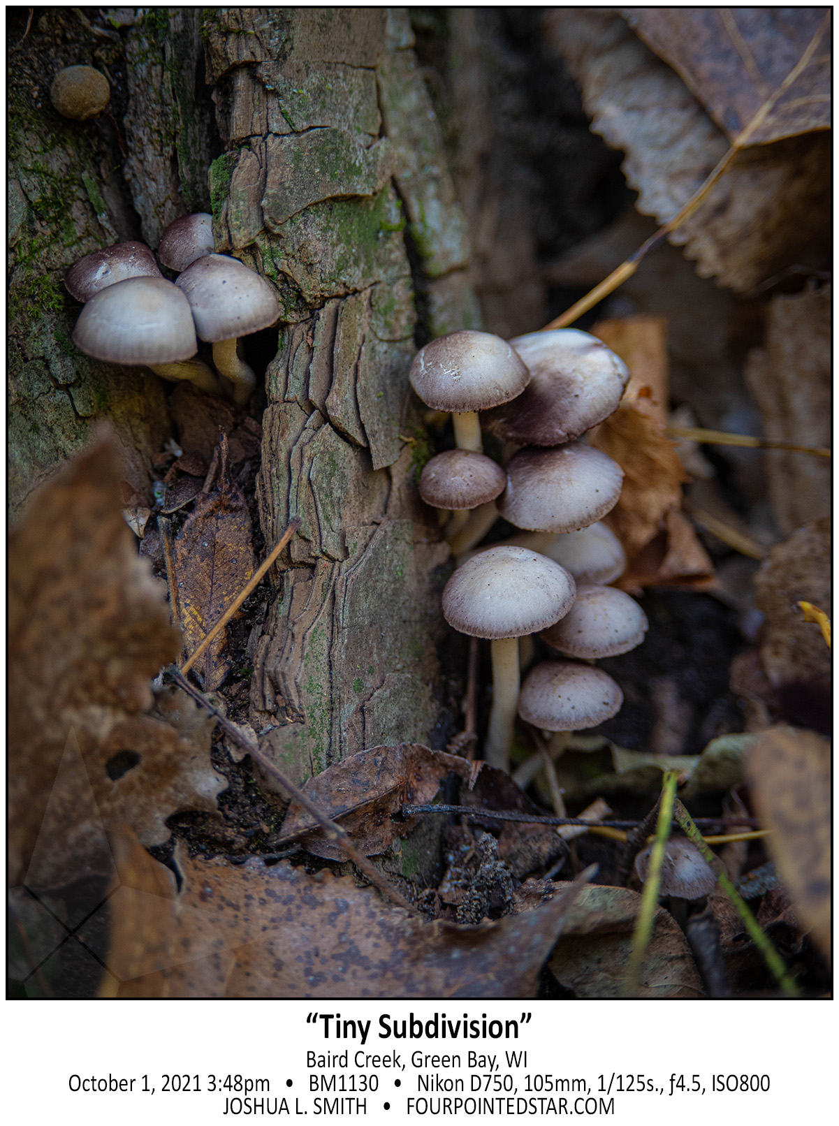 BM1130 211001 154822