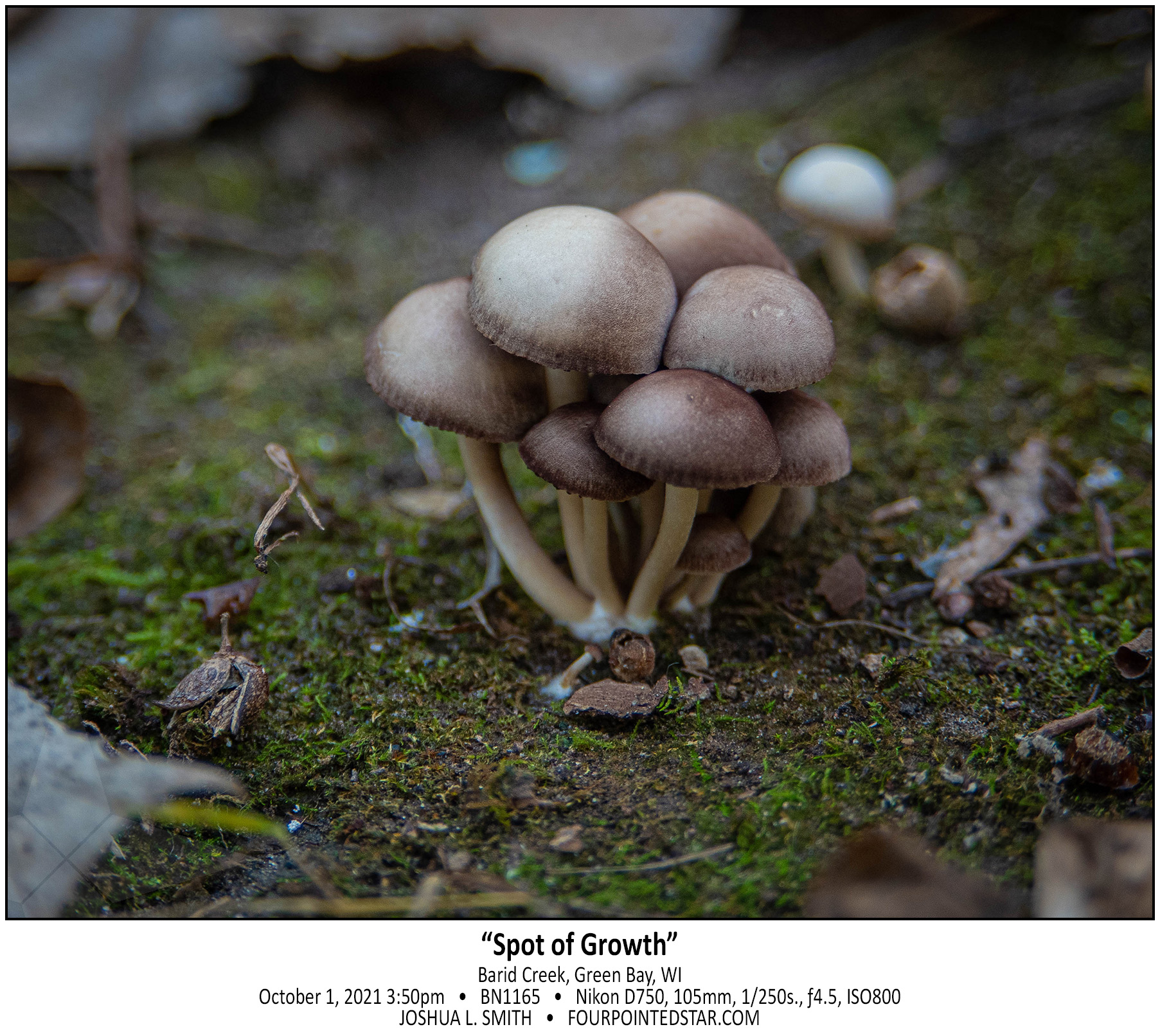 BN1165 211001 155053