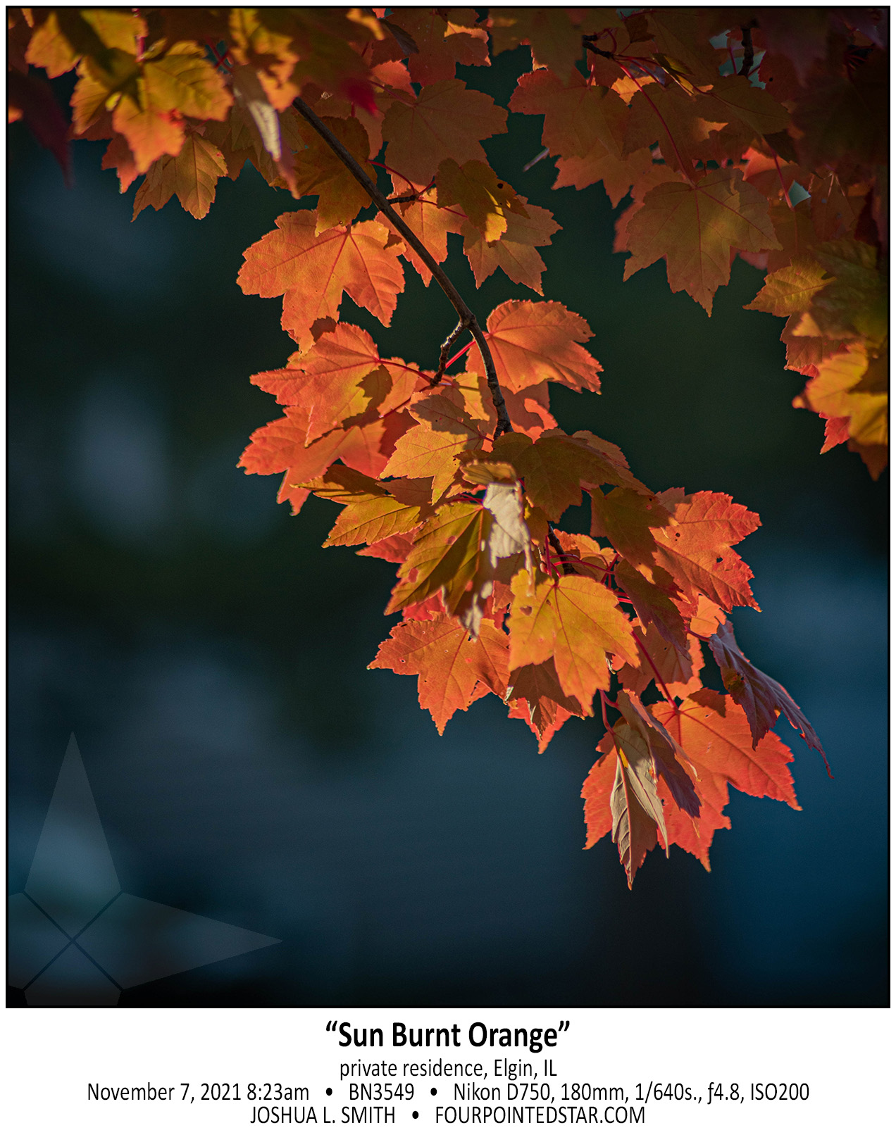 BN3549 211107 082352